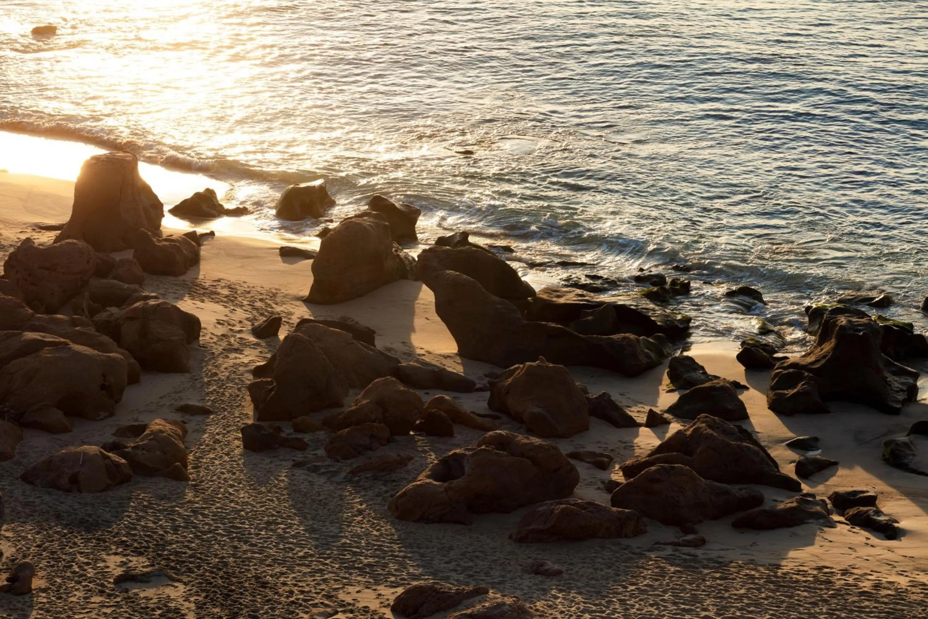 Beach in Casa Maat at JW Marriott Los Cabos Beach Resort & Spa
