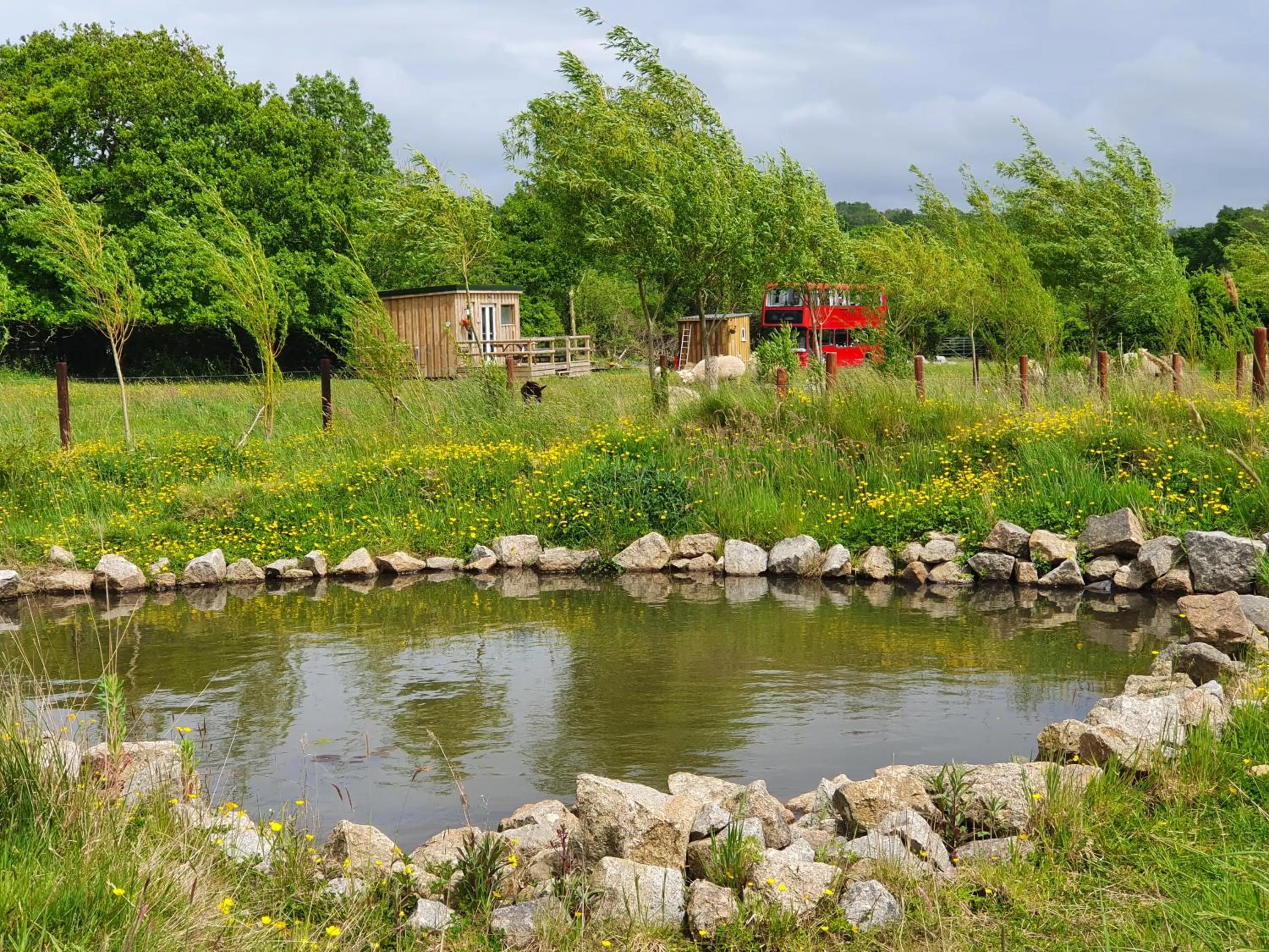 Garden in Double Decker Bus on an Alpaca Farm sleeps 8