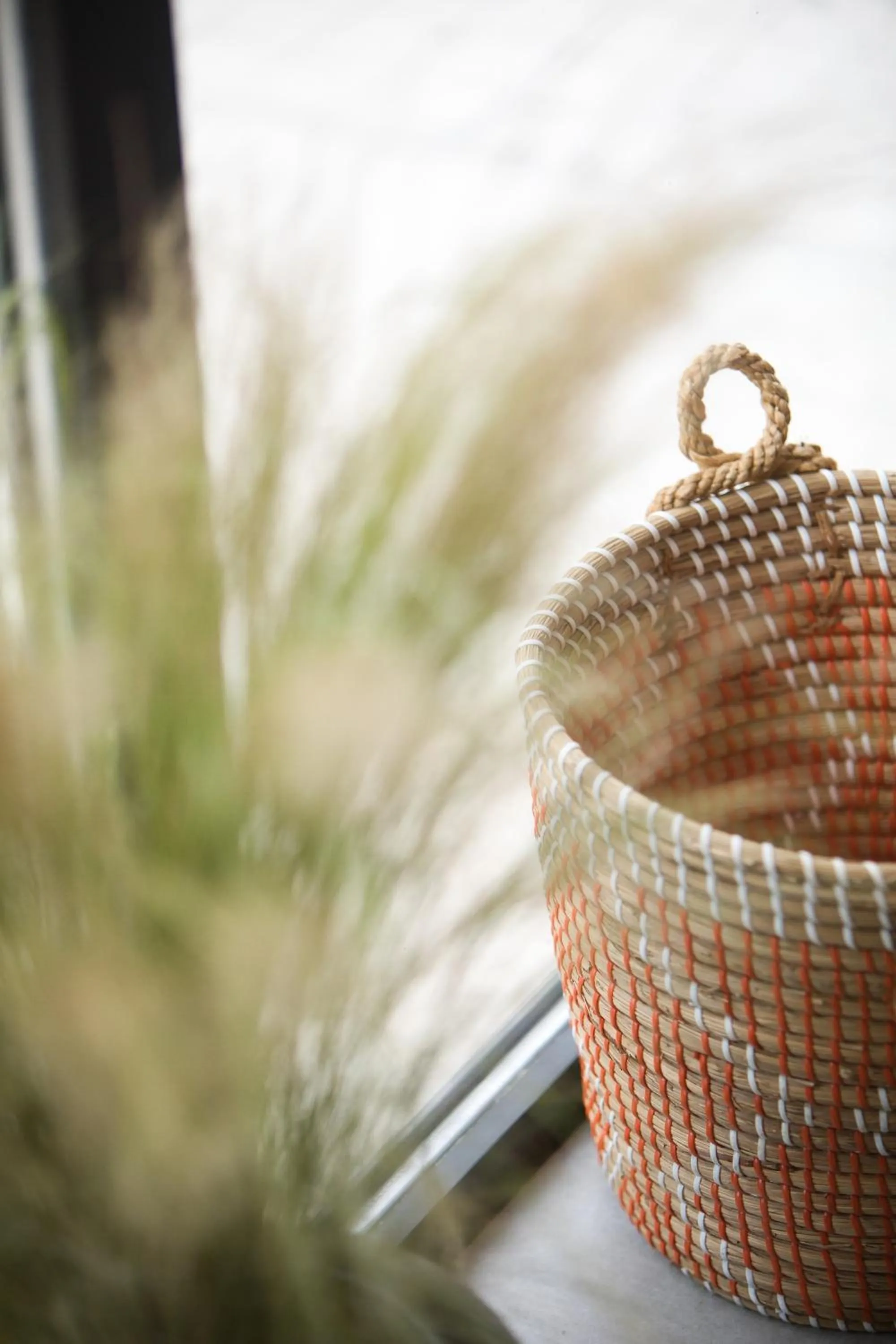 Day in Navitas House