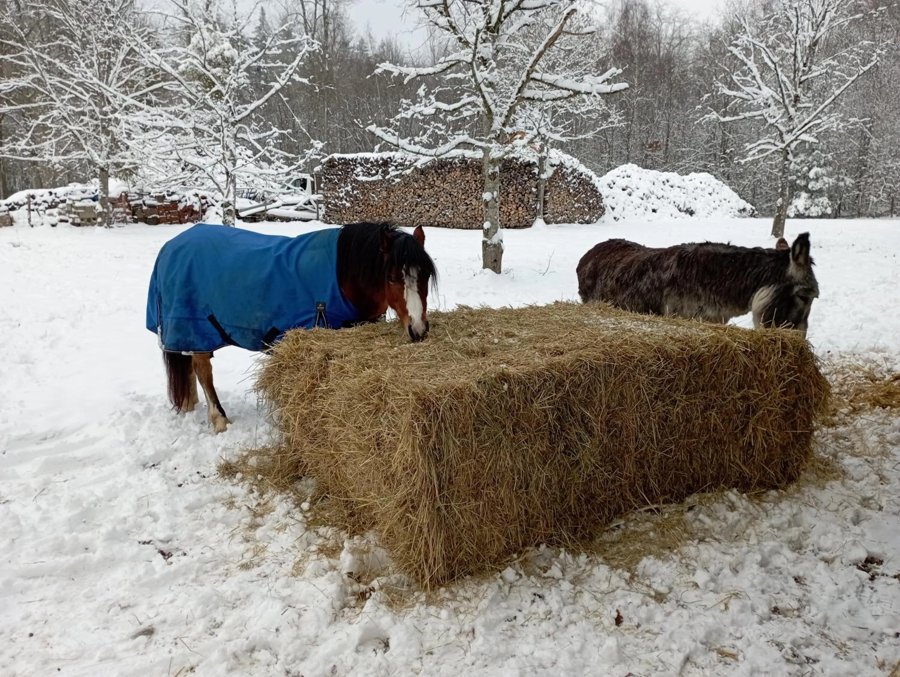 Chambres d'hôtes La Bourbelle