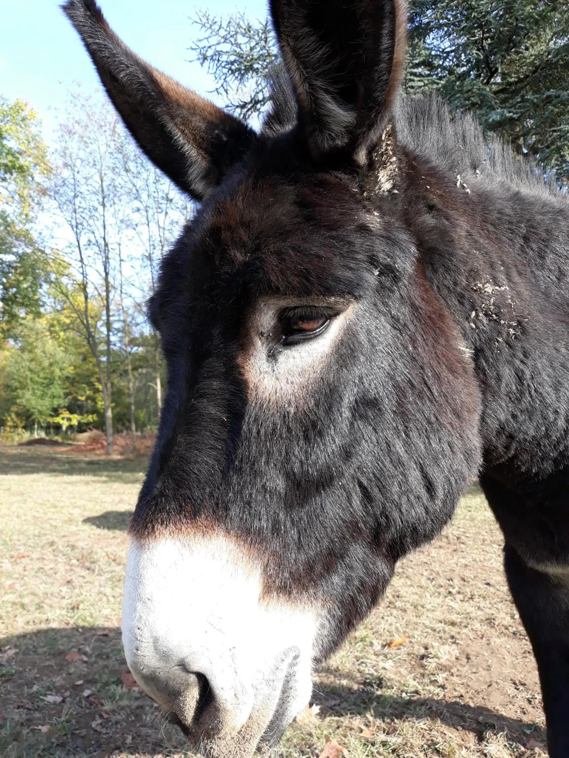 Other in Chambres d'hôtes La Bourbelle