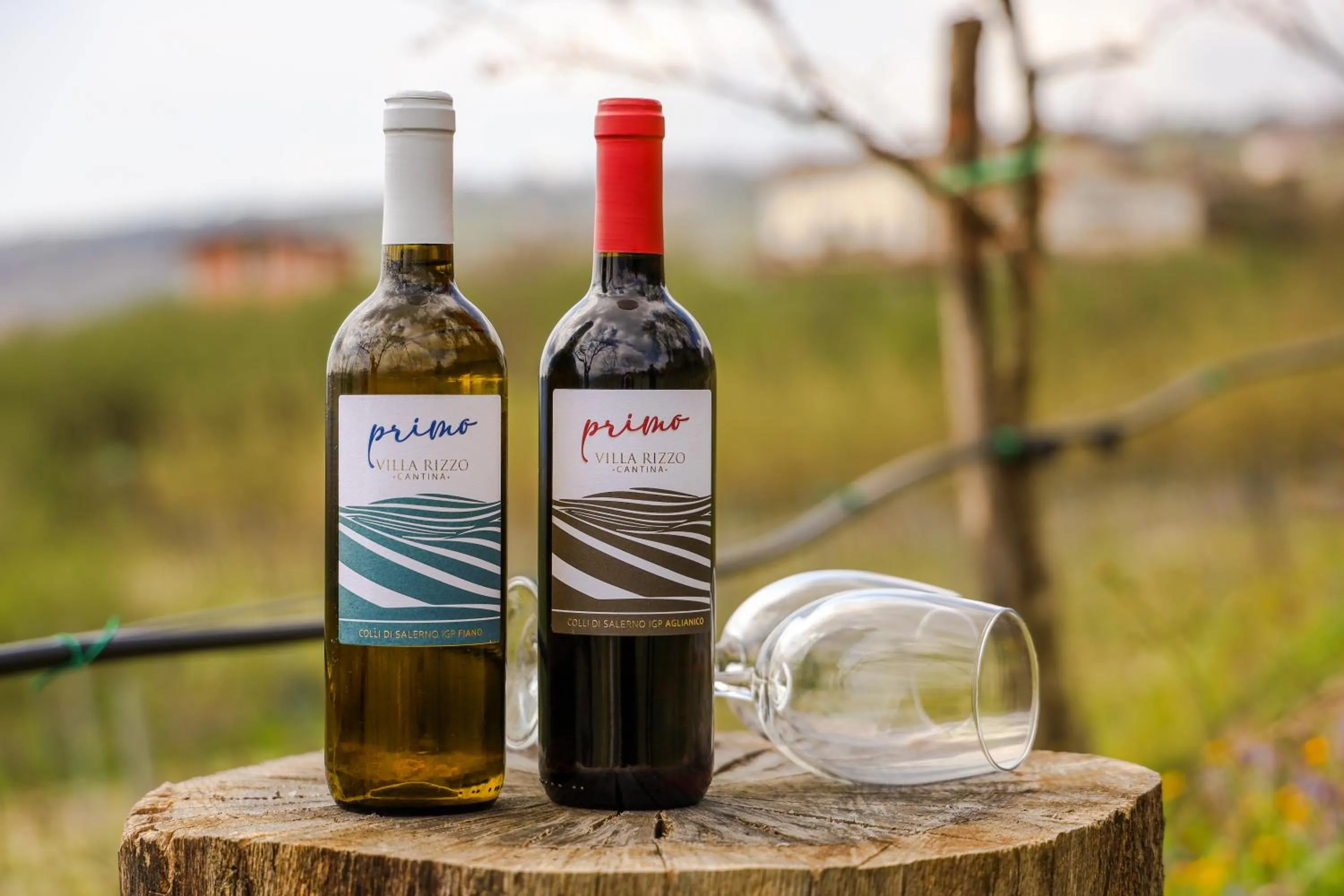 Restaurant/places to eat in Hotel Villa Rizzo Resort and Spa