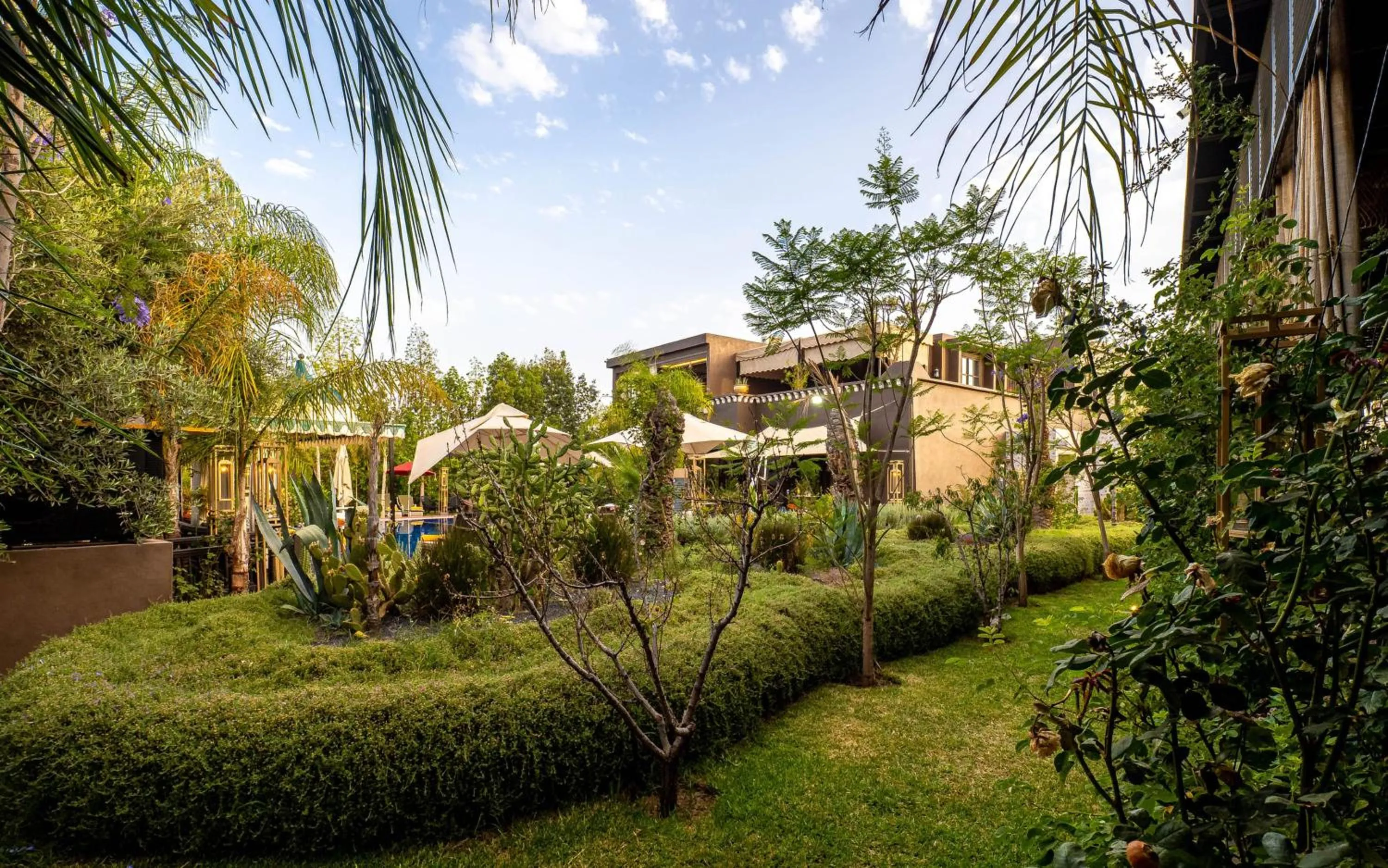 Property building in The Lemonary Marrakech