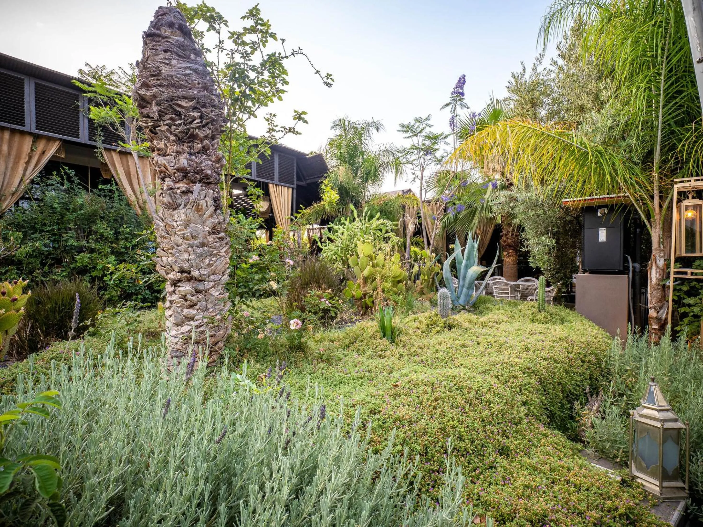 Spring in The Lemonary Marrakech