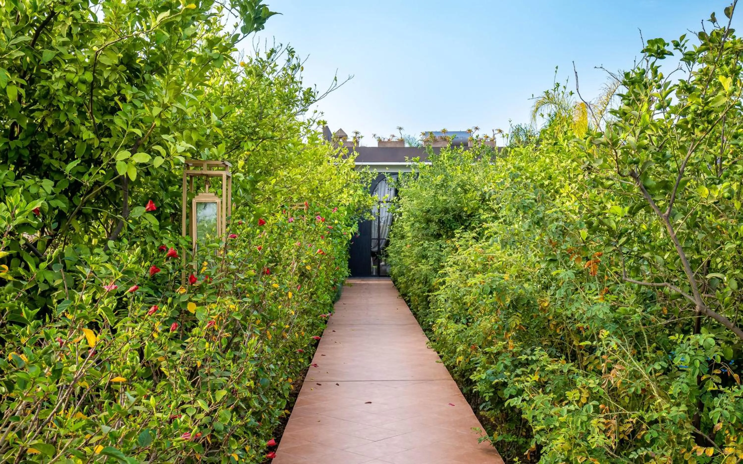 Spring in The Lemonary Marrakech