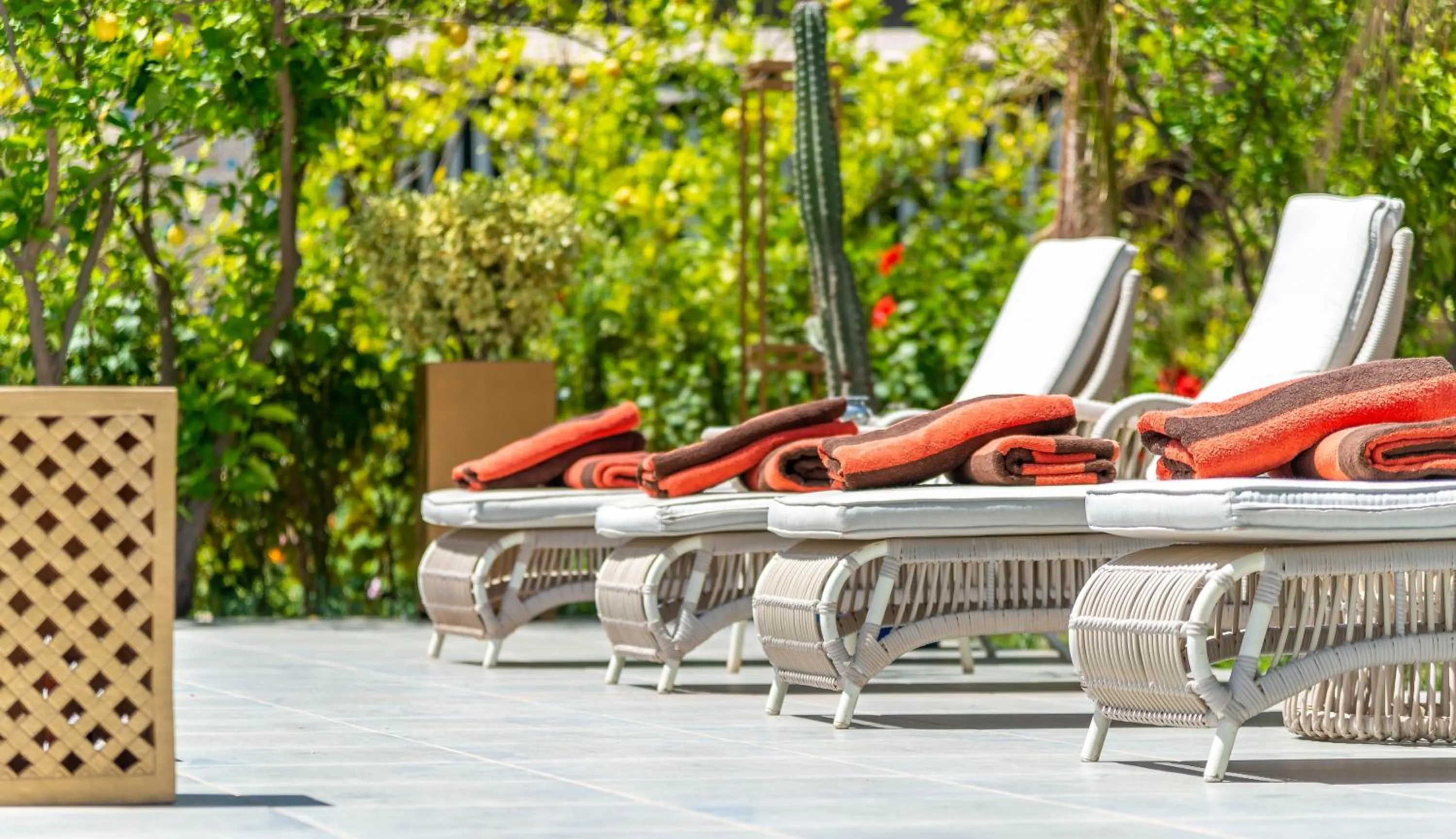 sunbed in The Lemonary Marrakech