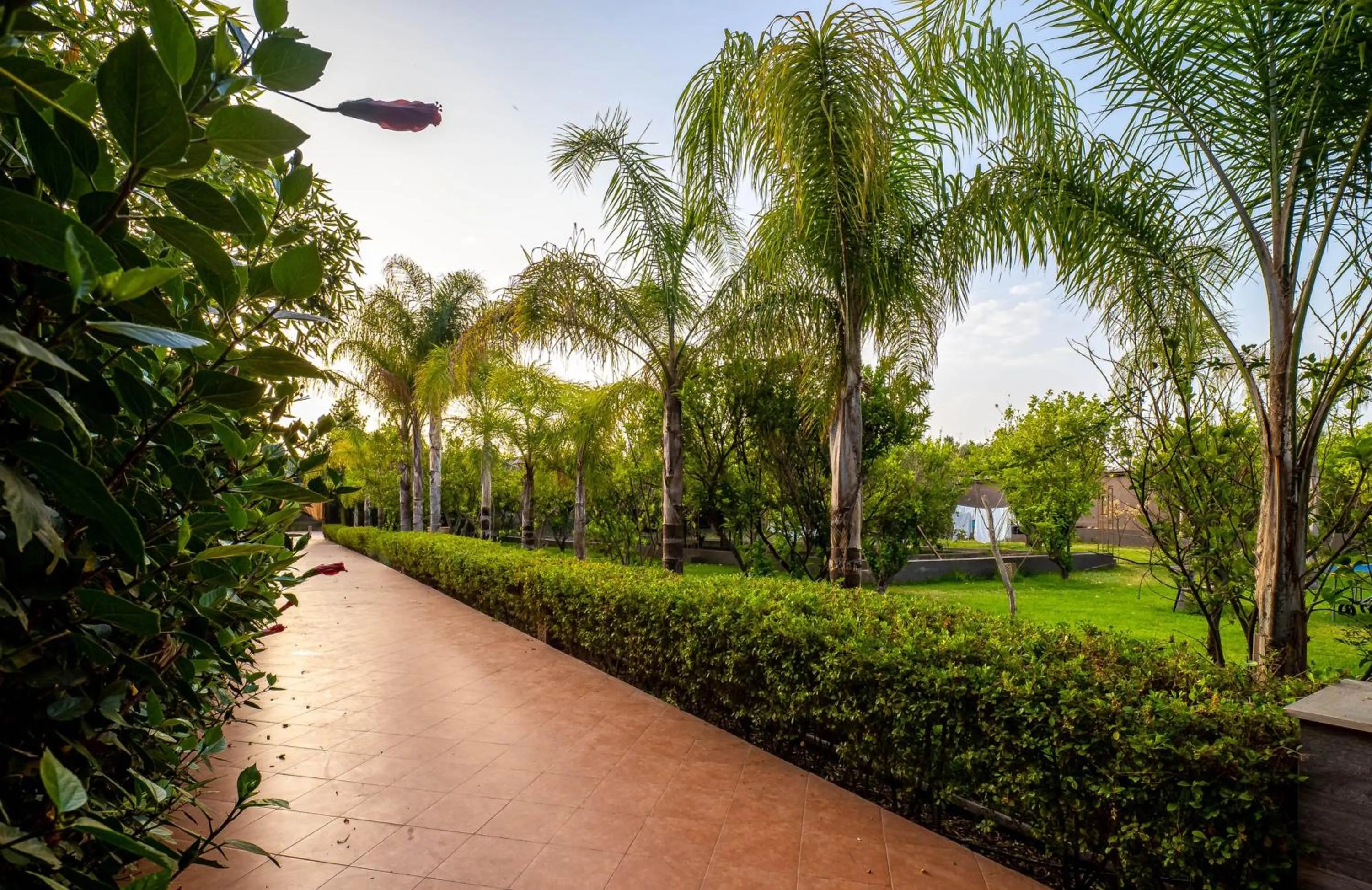 Spring in The Lemonary Marrakech