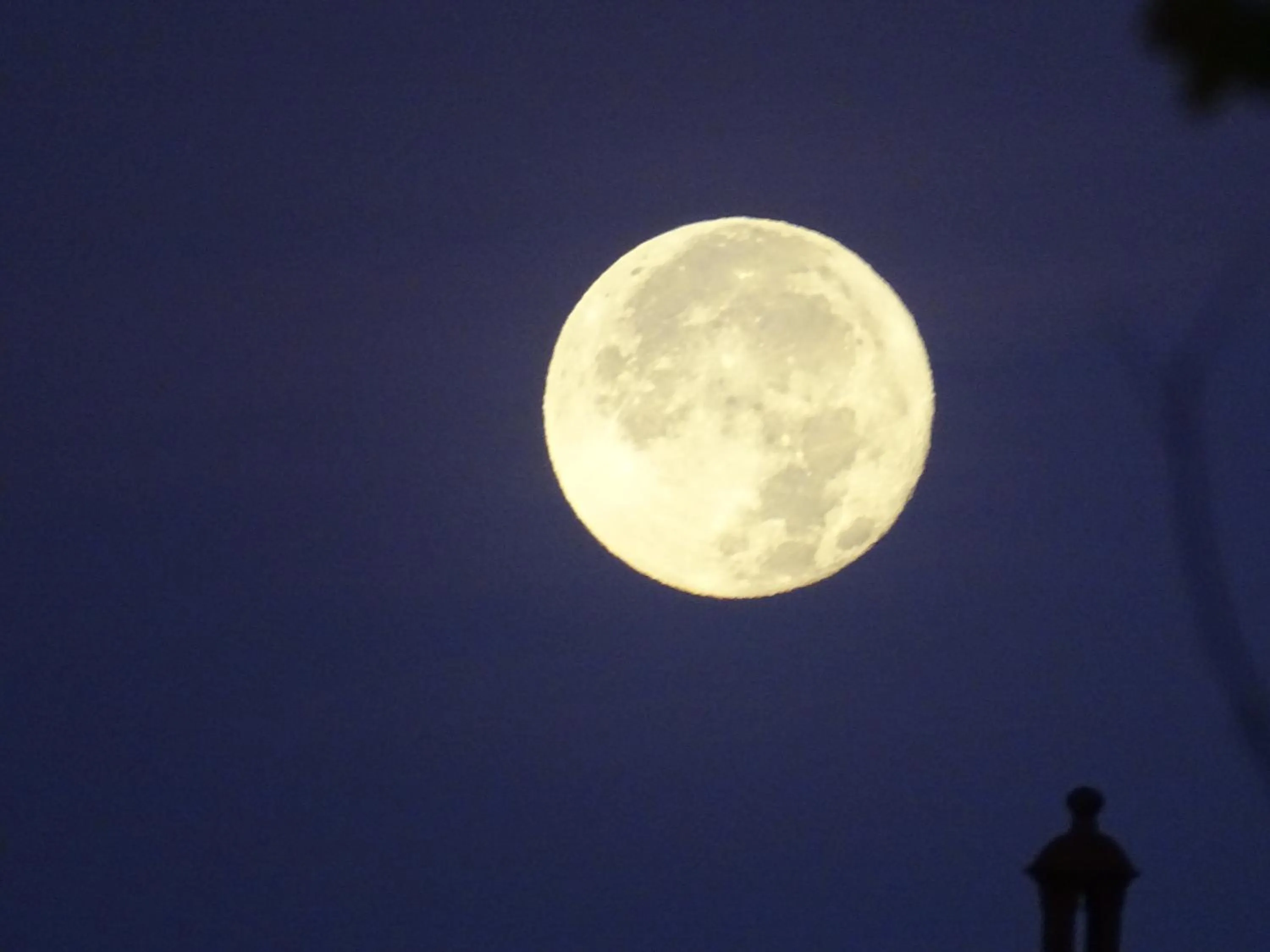 View (from property/room) in La Pajassa