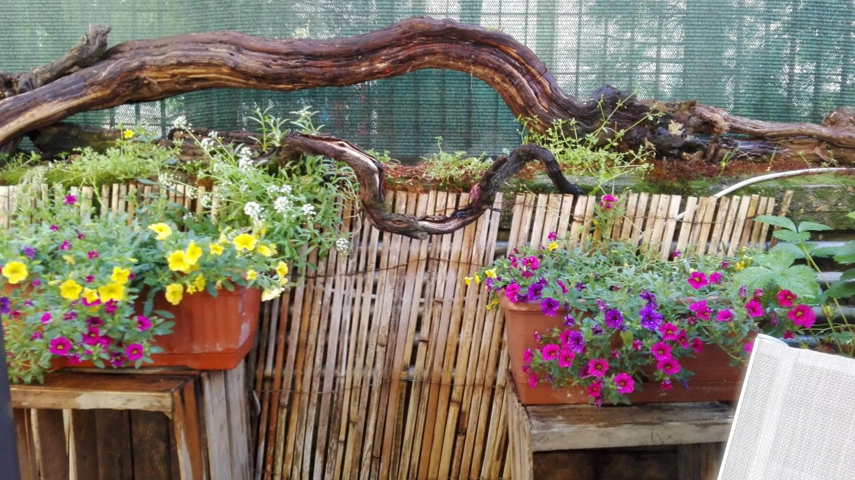 Garden in La Pajassa