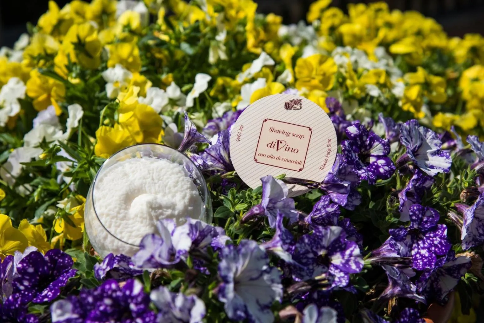 Garden in La Pajassa