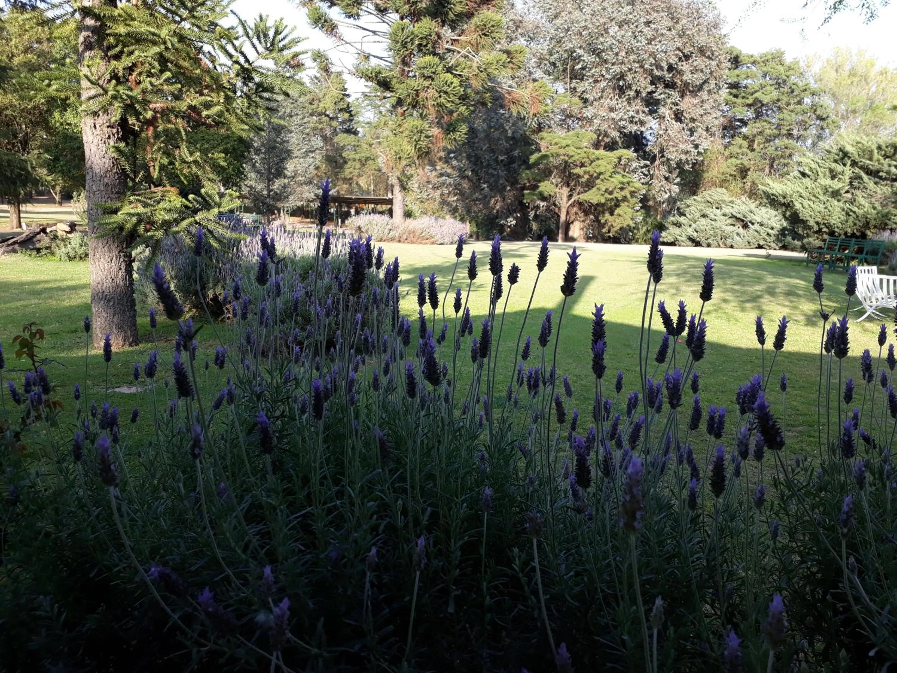 Garden in Hotel de Campo Posada la Esperanza