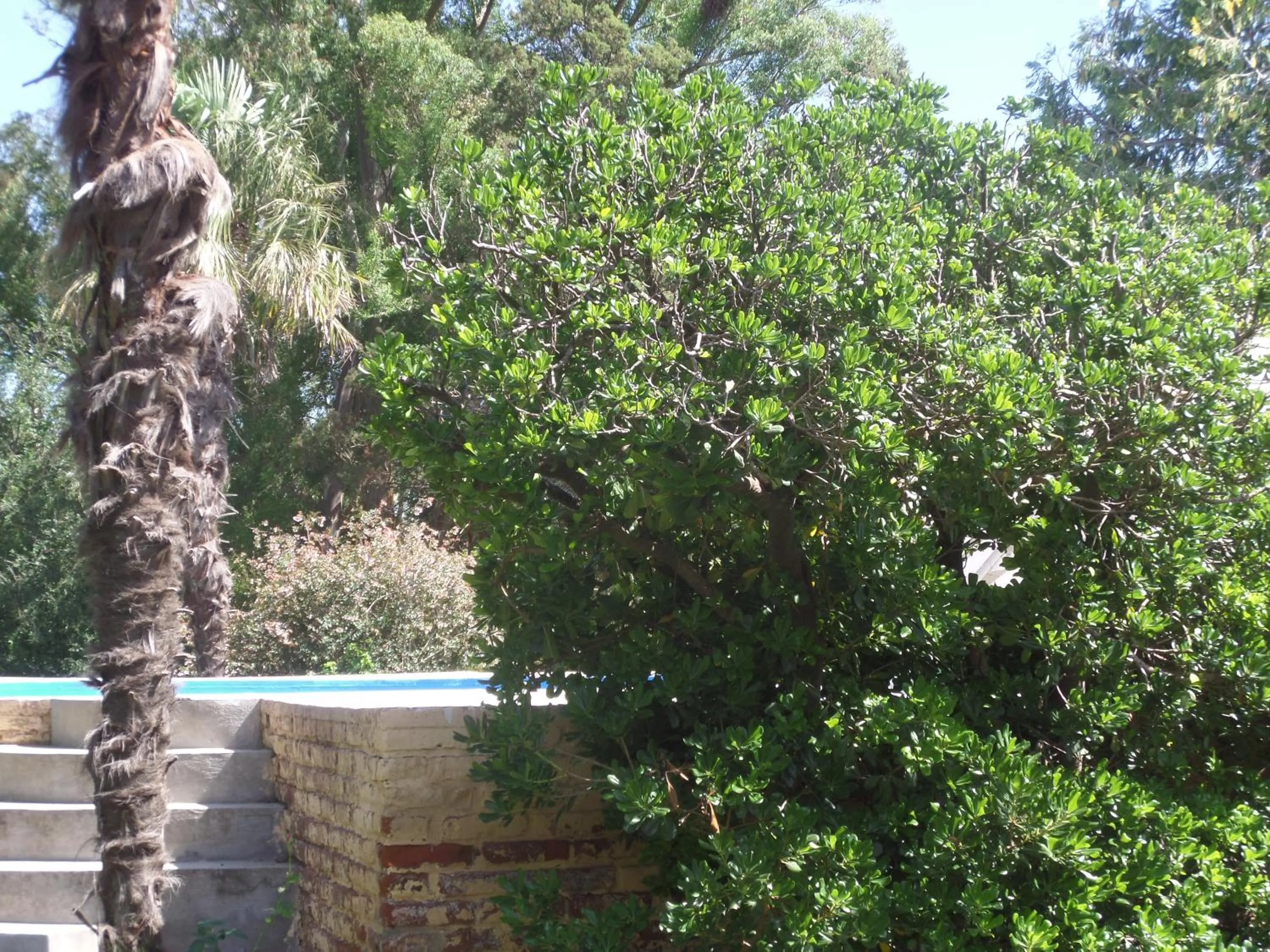 Solarium in Hotel de Campo Posada la Esperanza