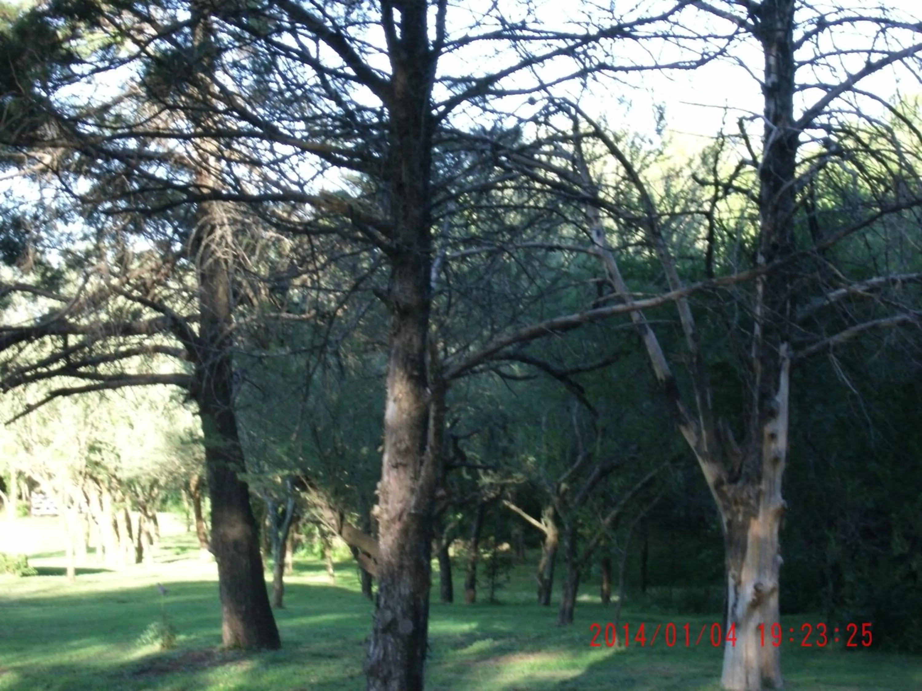 View (from property/room) in Hotel de Campo Posada la Esperanza