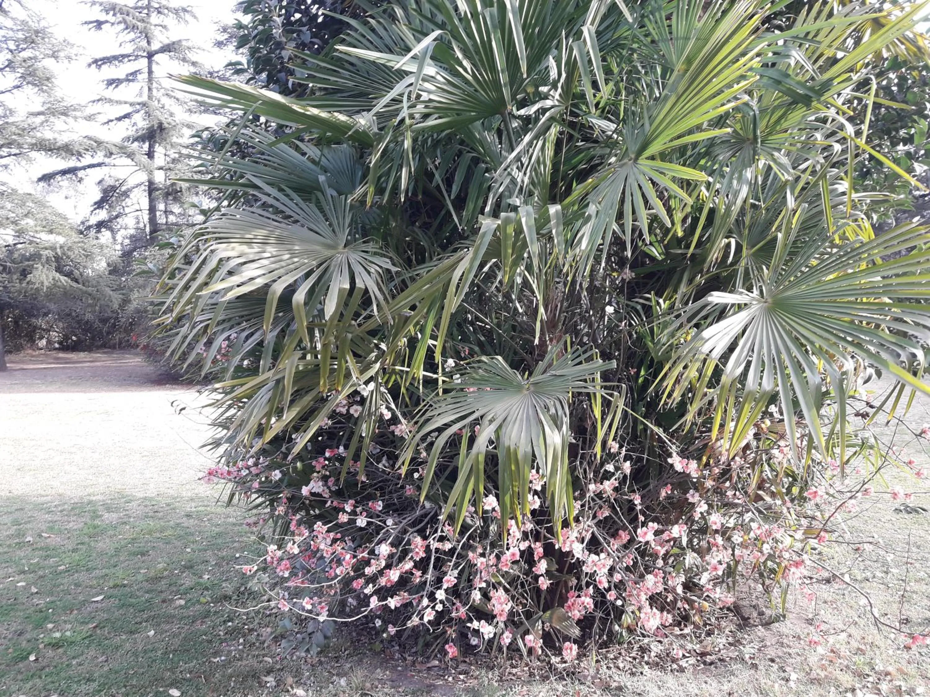Other in Hotel de Campo Posada la Esperanza