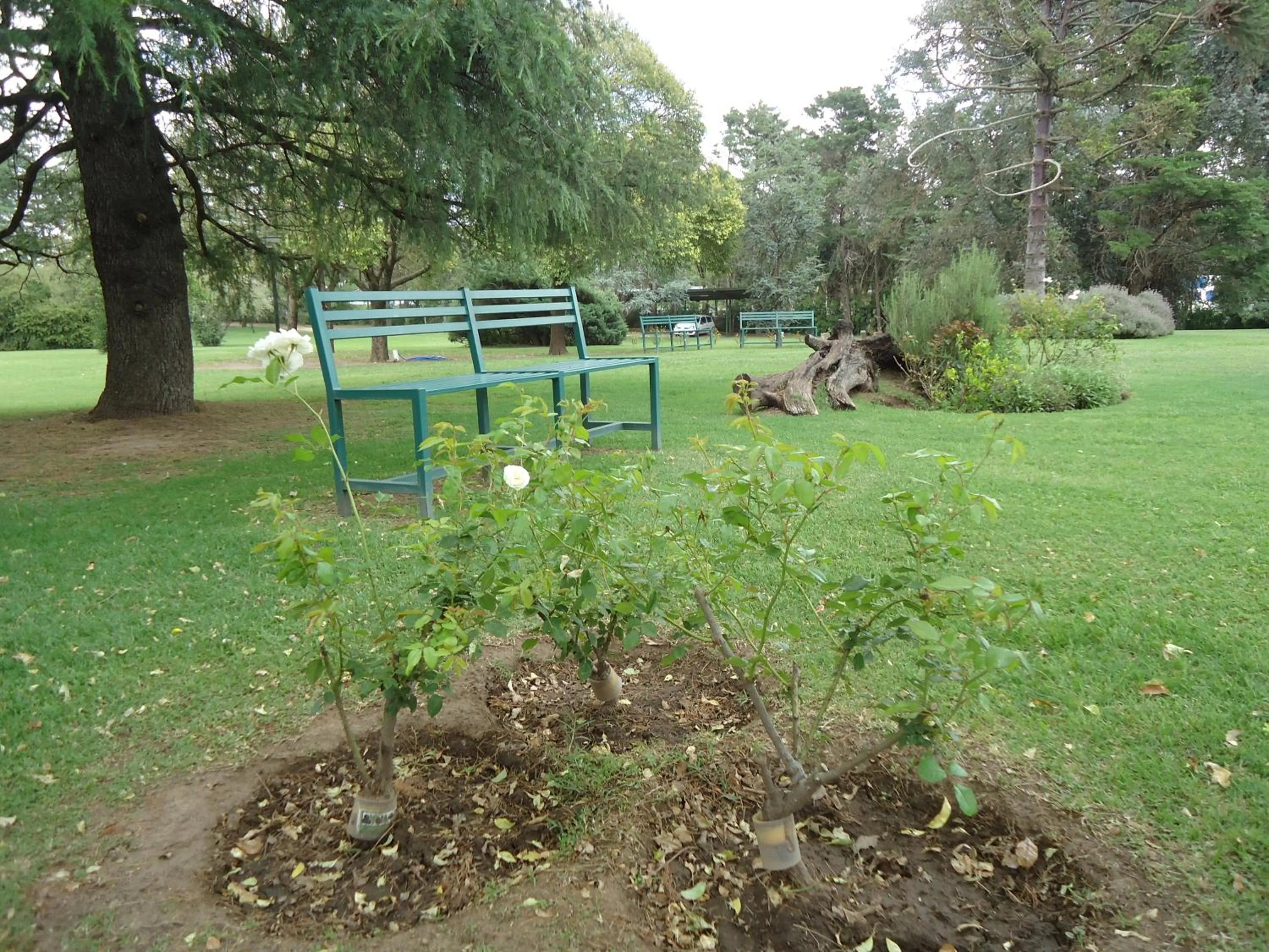 Garden in Hotel de Campo Posada la Esperanza