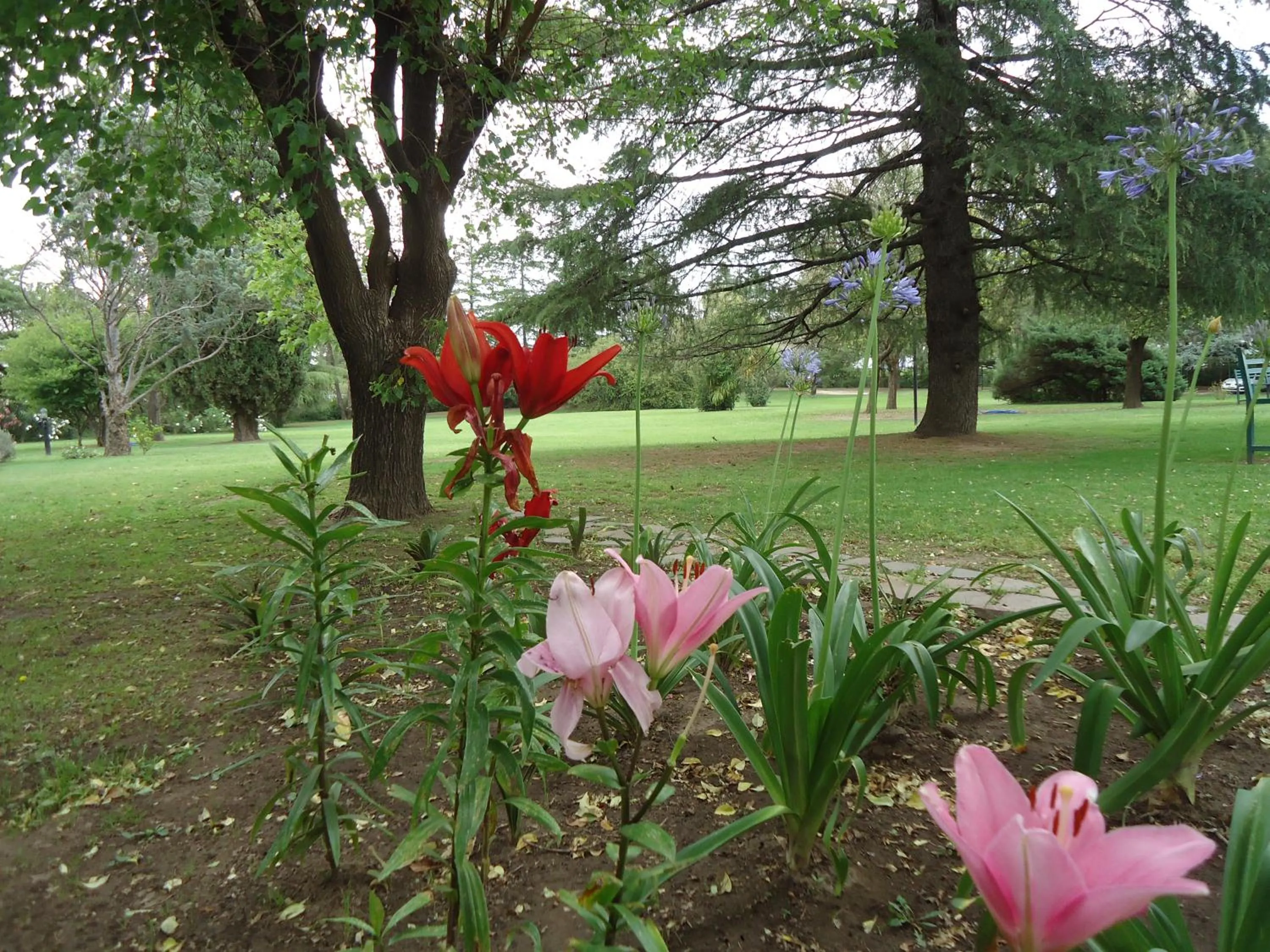 Garden in Hotel de Campo Posada la Esperanza