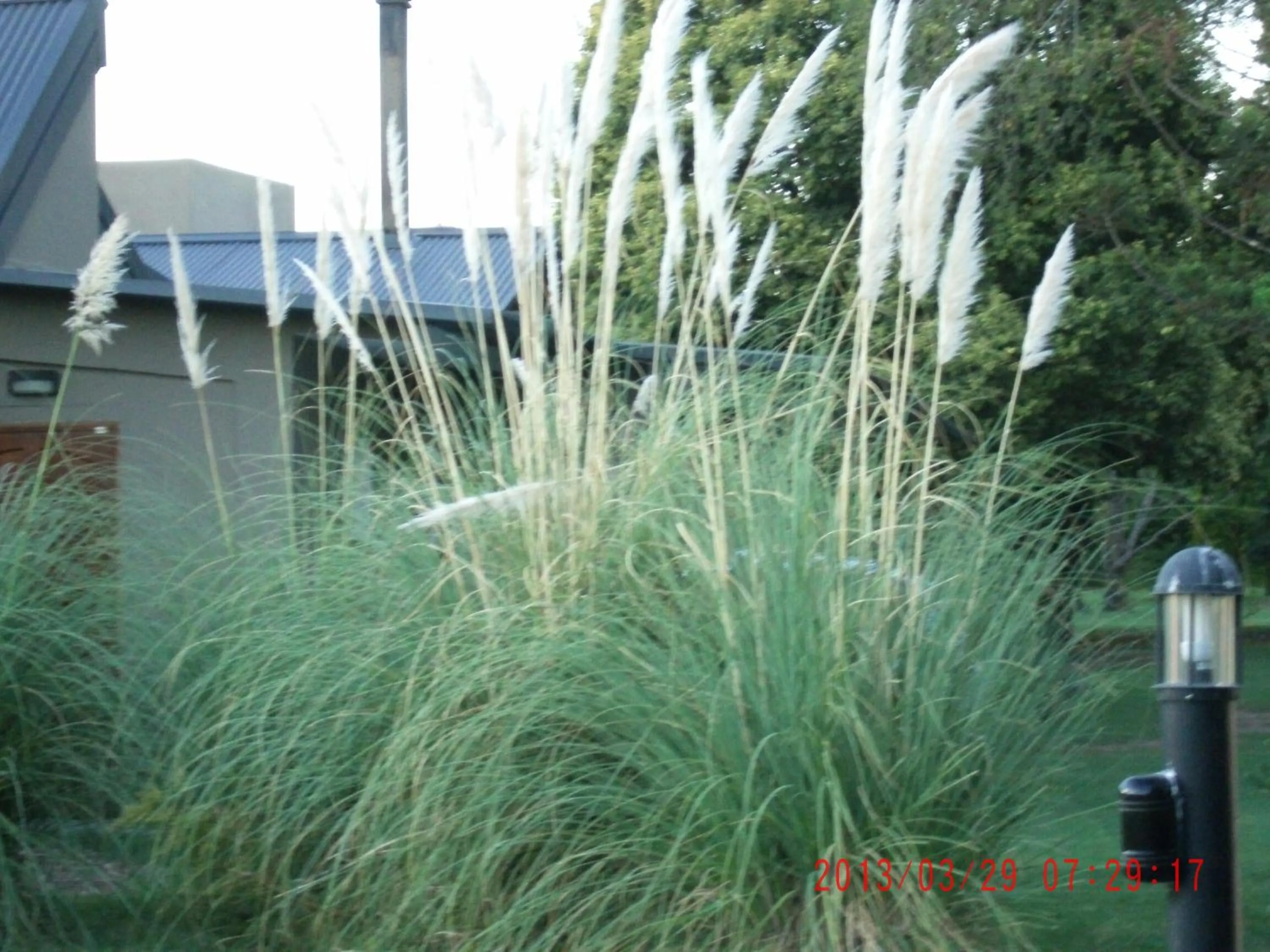 Activities in Hotel de Campo Posada la Esperanza