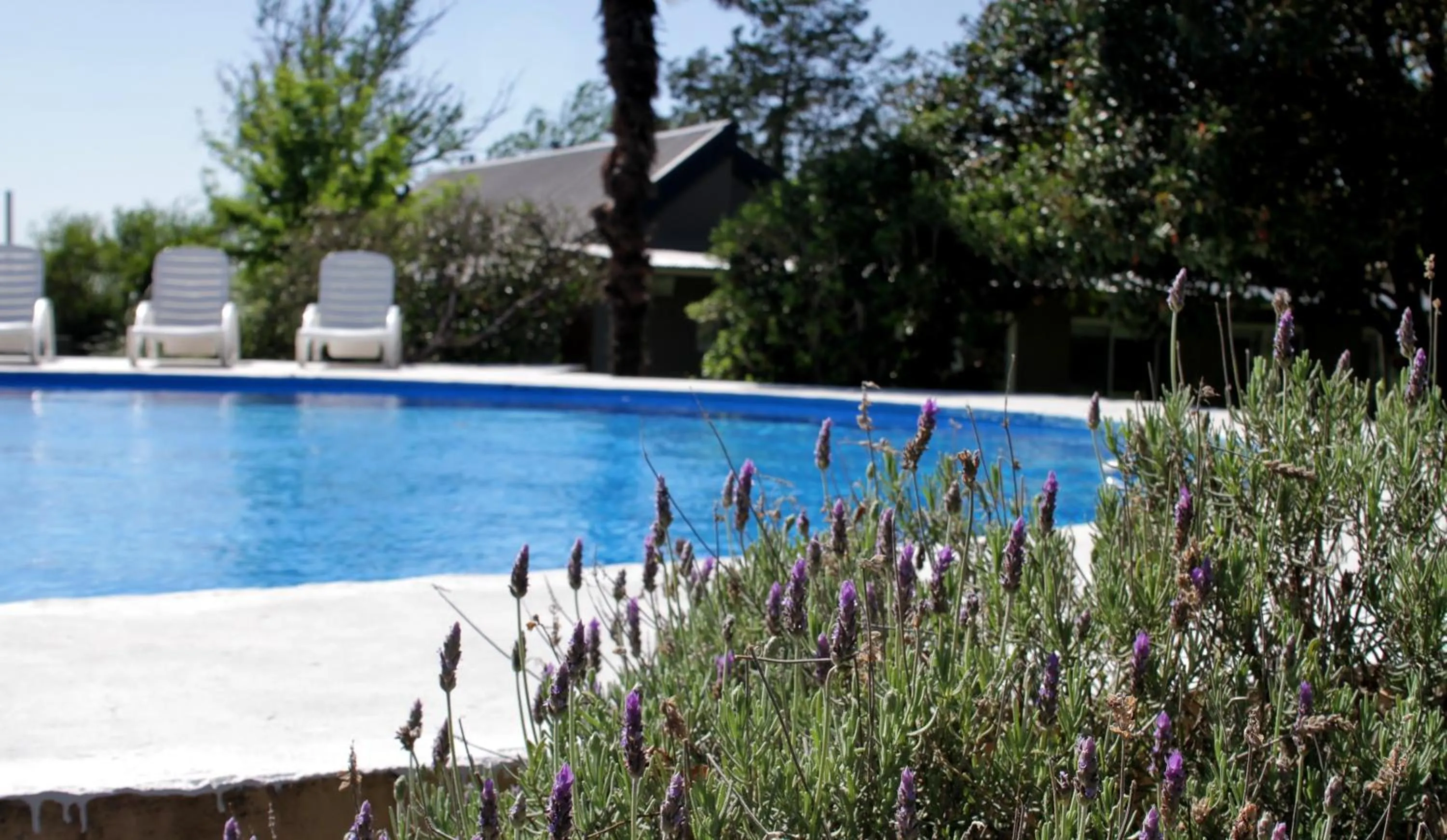 Activities in Hotel de Campo Posada la Esperanza