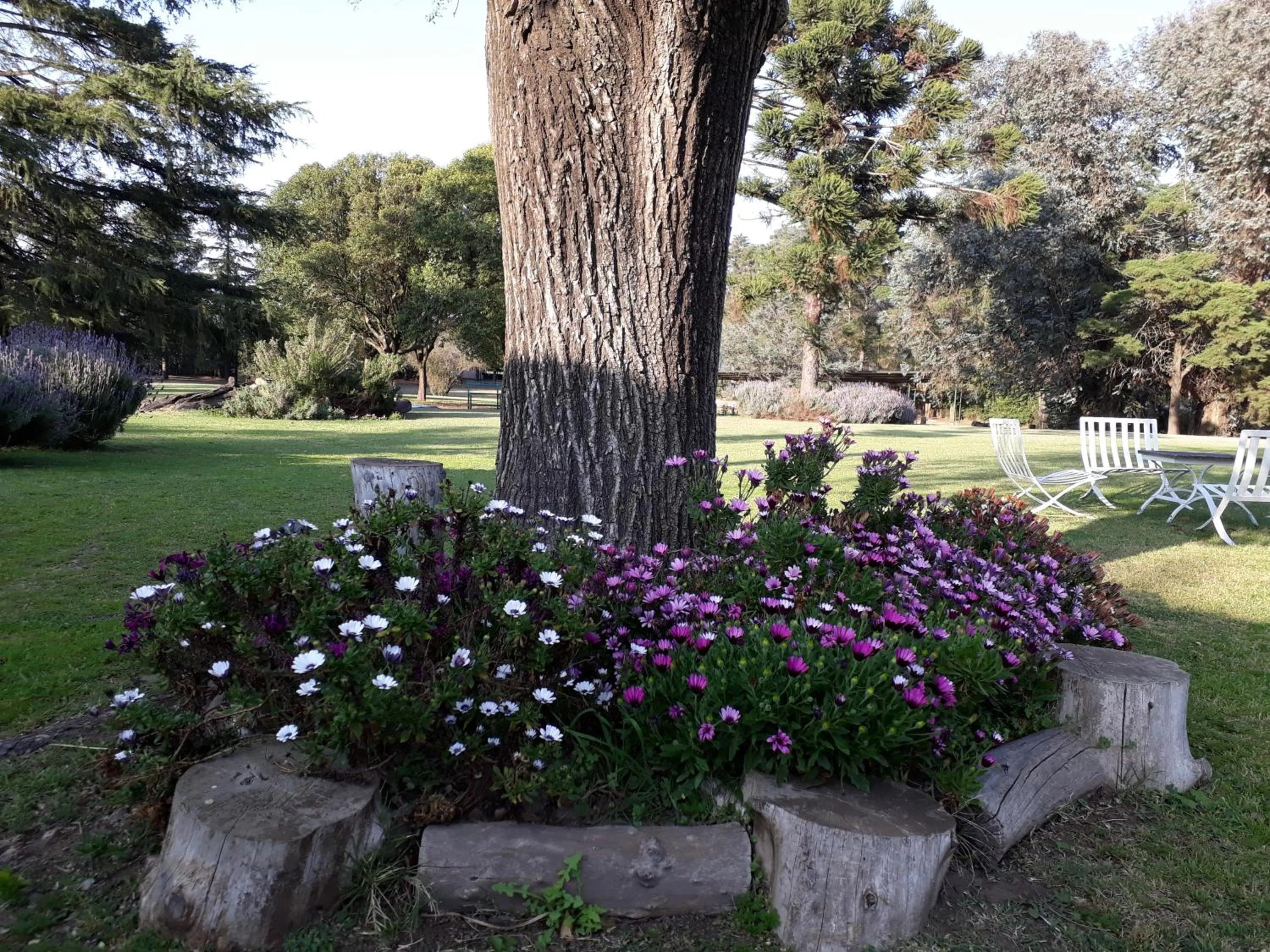 Garden in Hotel de Campo Posada la Esperanza