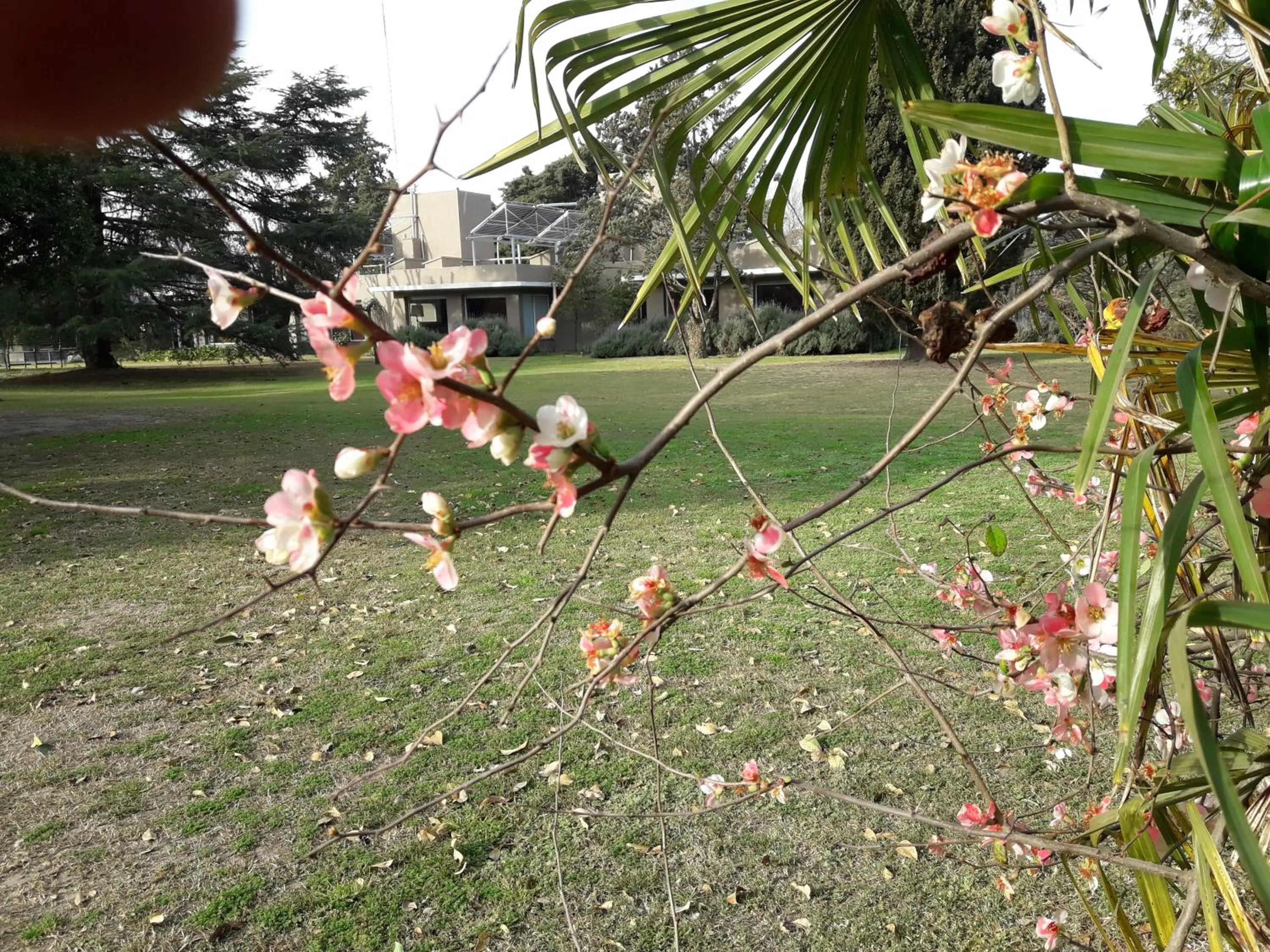 Garden in Hotel de Campo Posada la Esperanza