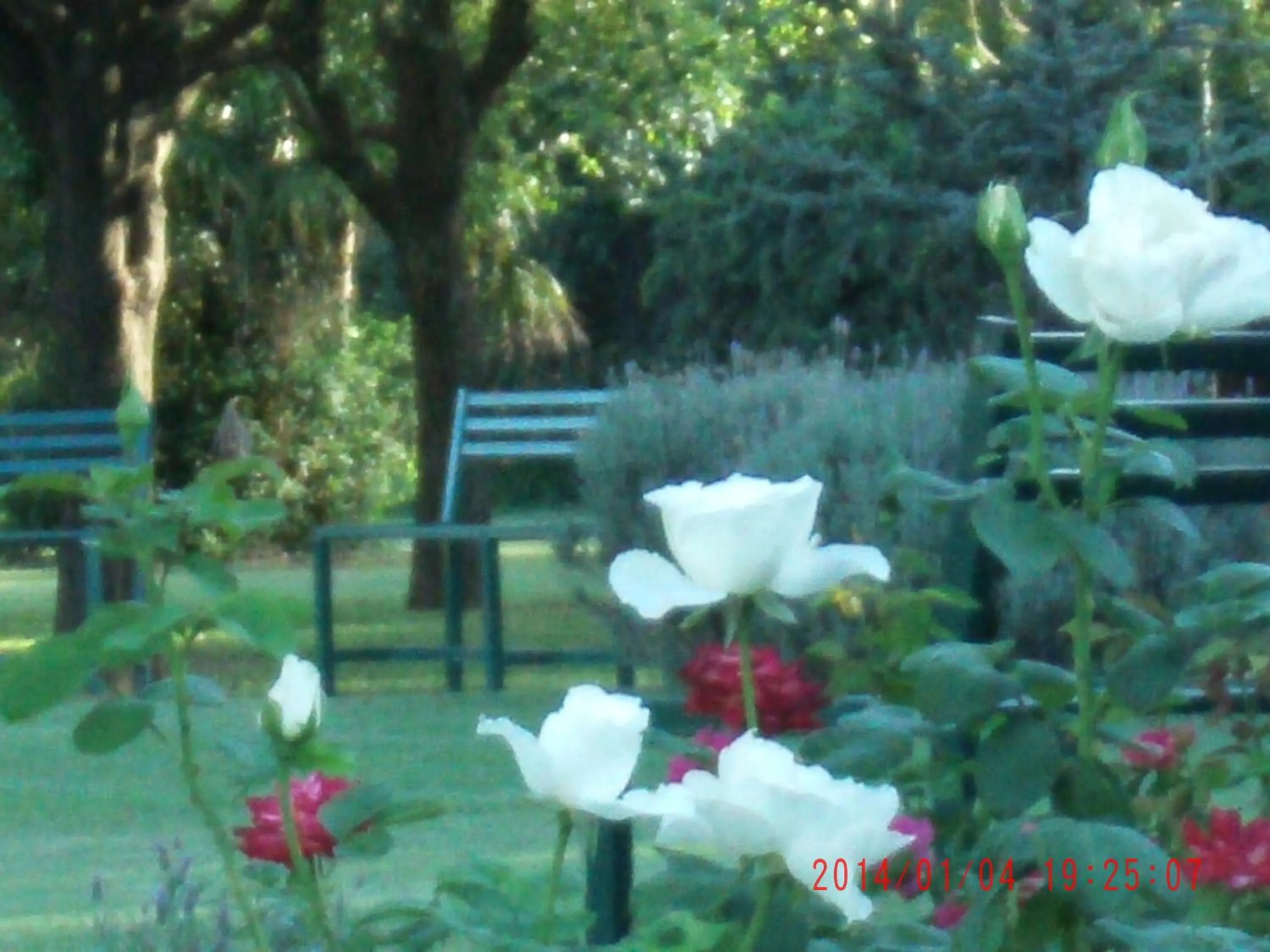 Garden in Hotel de Campo Posada la Esperanza