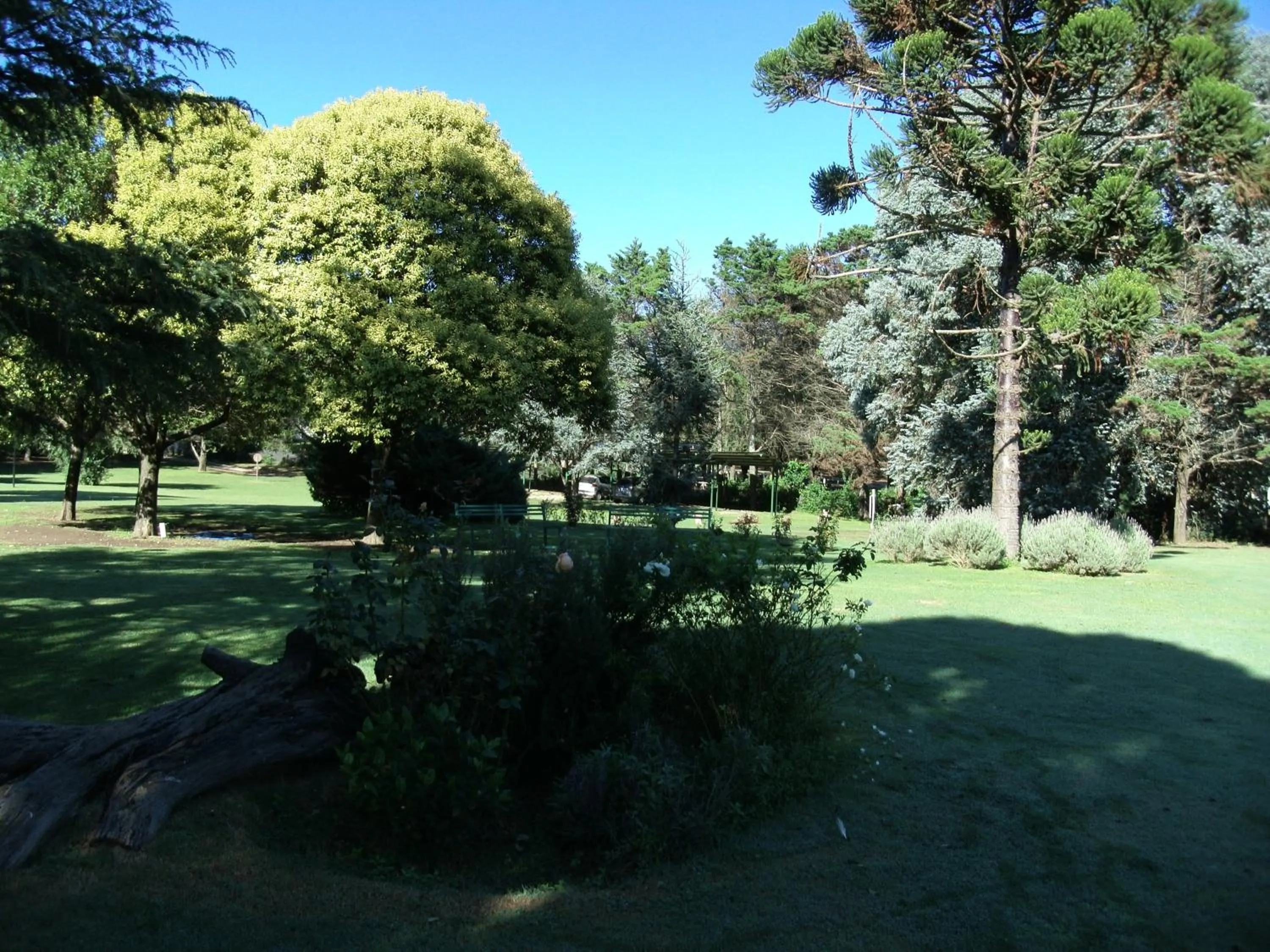 Activities in Hotel de Campo Posada la Esperanza