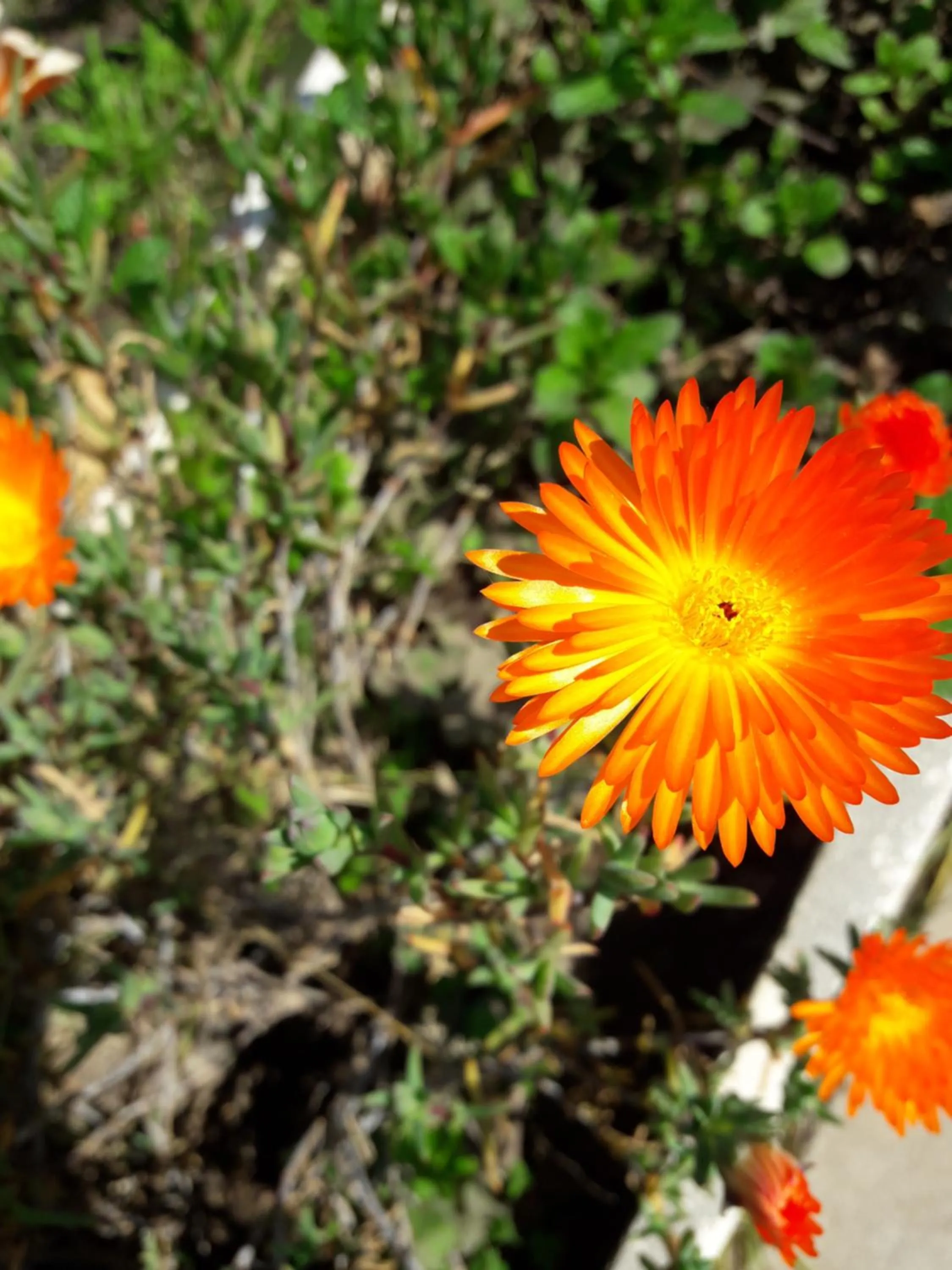 Hotel de Campo Posada la Esperanza