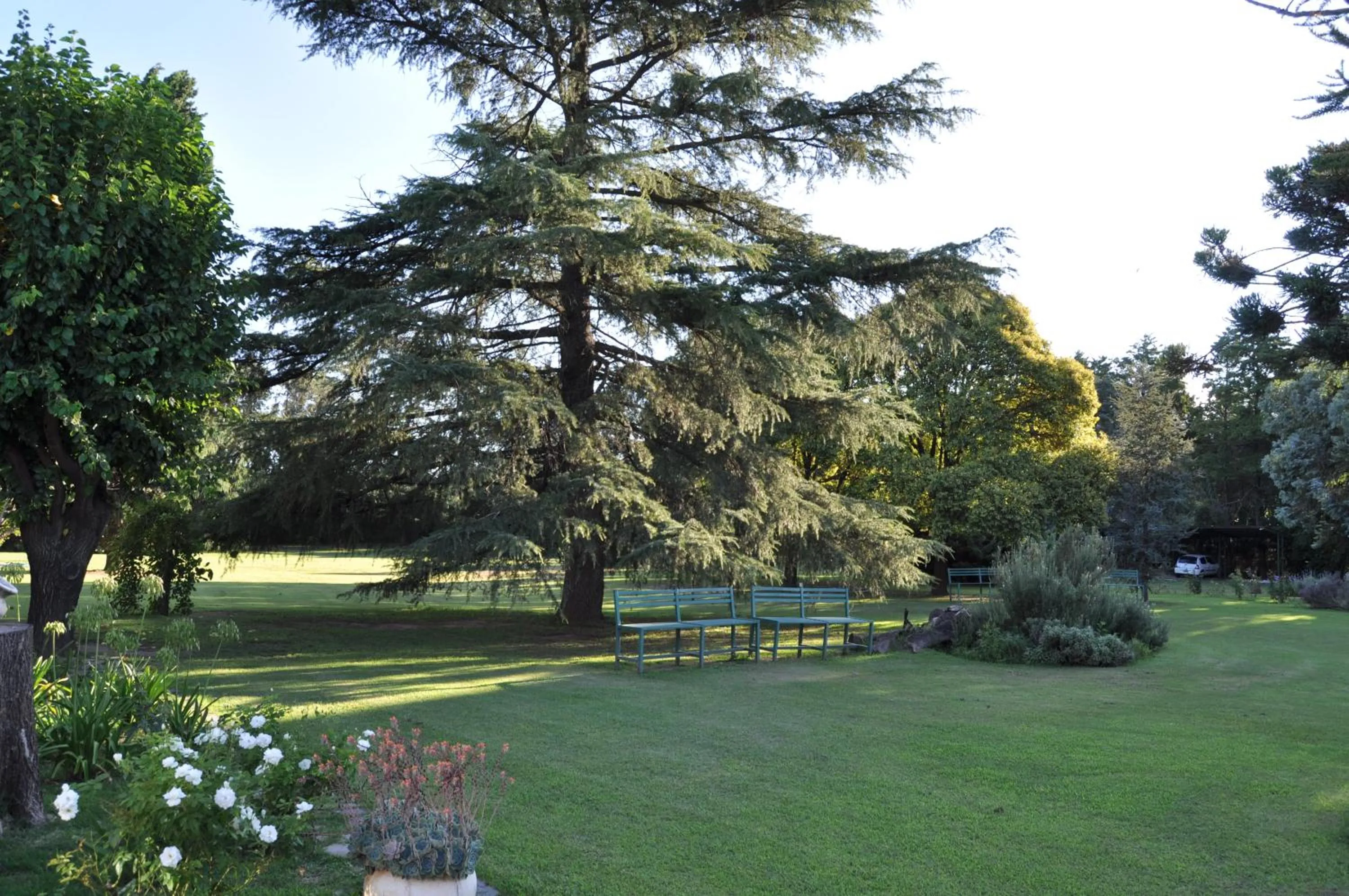 Garden in Hotel de Campo Posada la Esperanza
