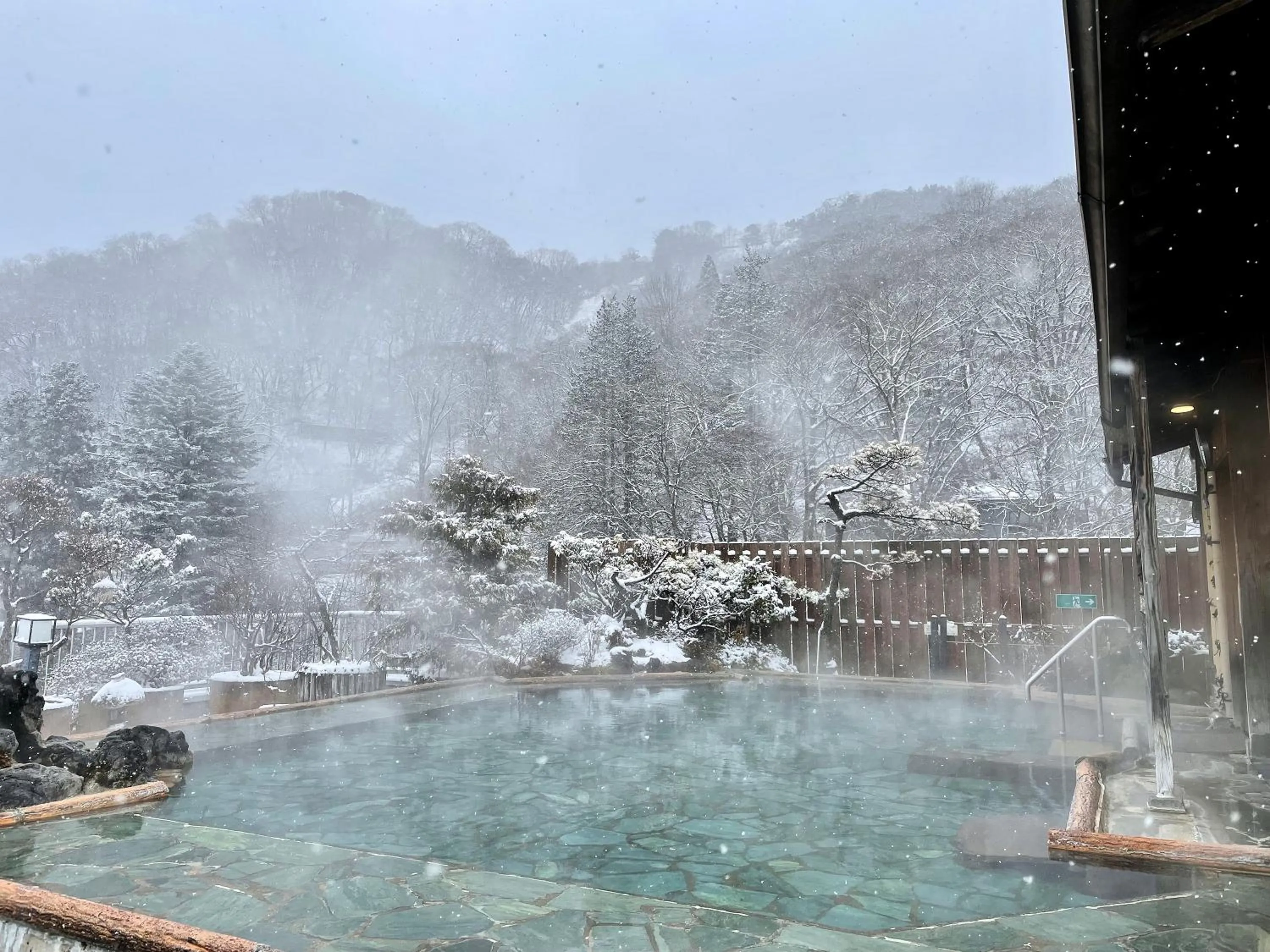 Hot Spring Bath in Omori