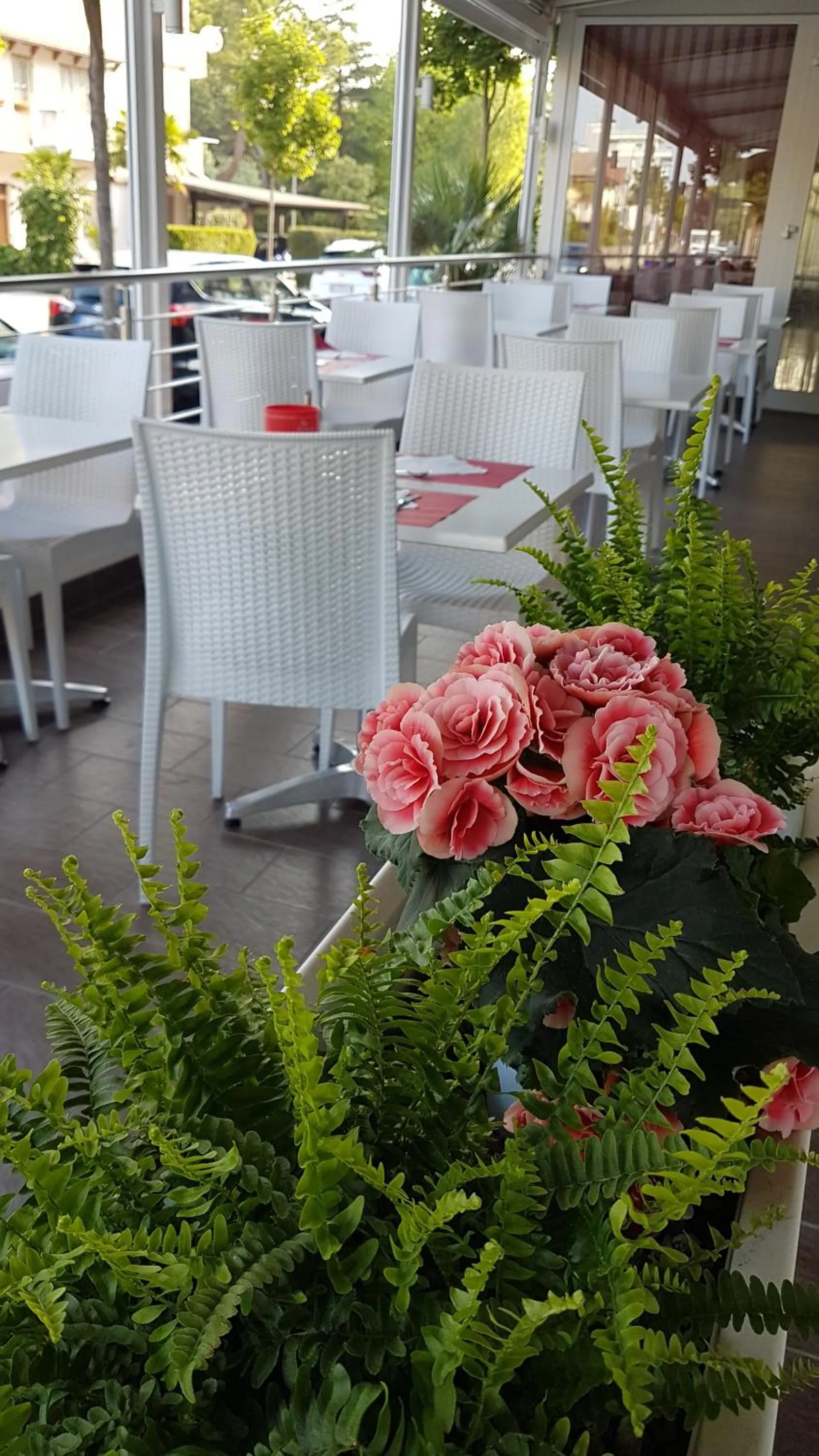 Breakfast in Hotel Vienna