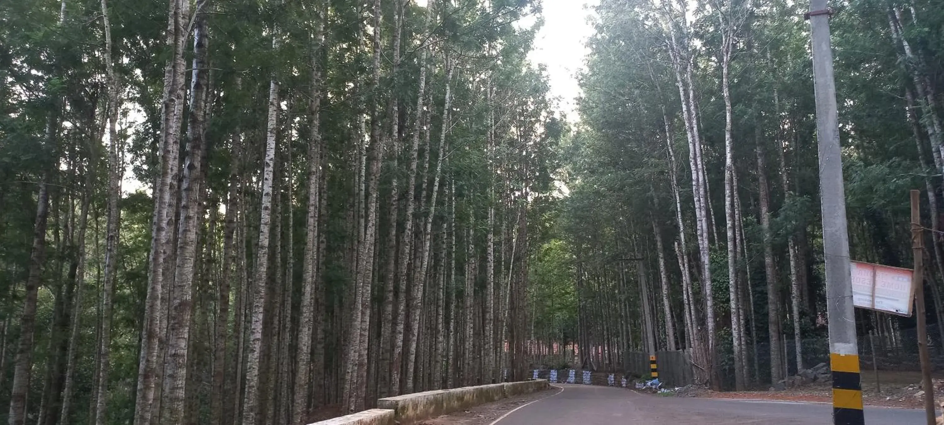 Property building in iSTAYS - Loop Road, Yercaud Property building in iSTAYS - Loop Road, Yercaud