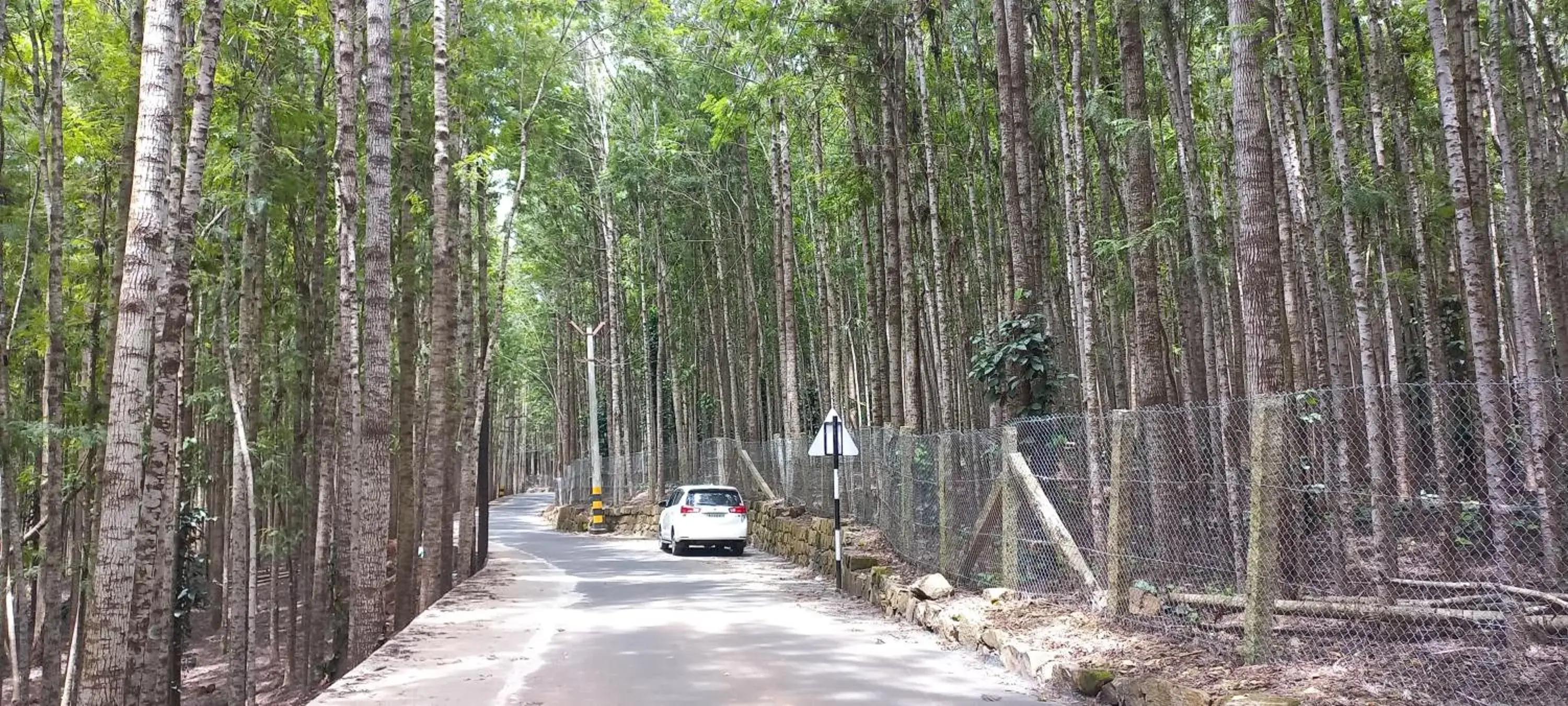 City view in iSTAYS - Loop Road, Yercaud City view in iSTAYS - Loop Road, Yercaud