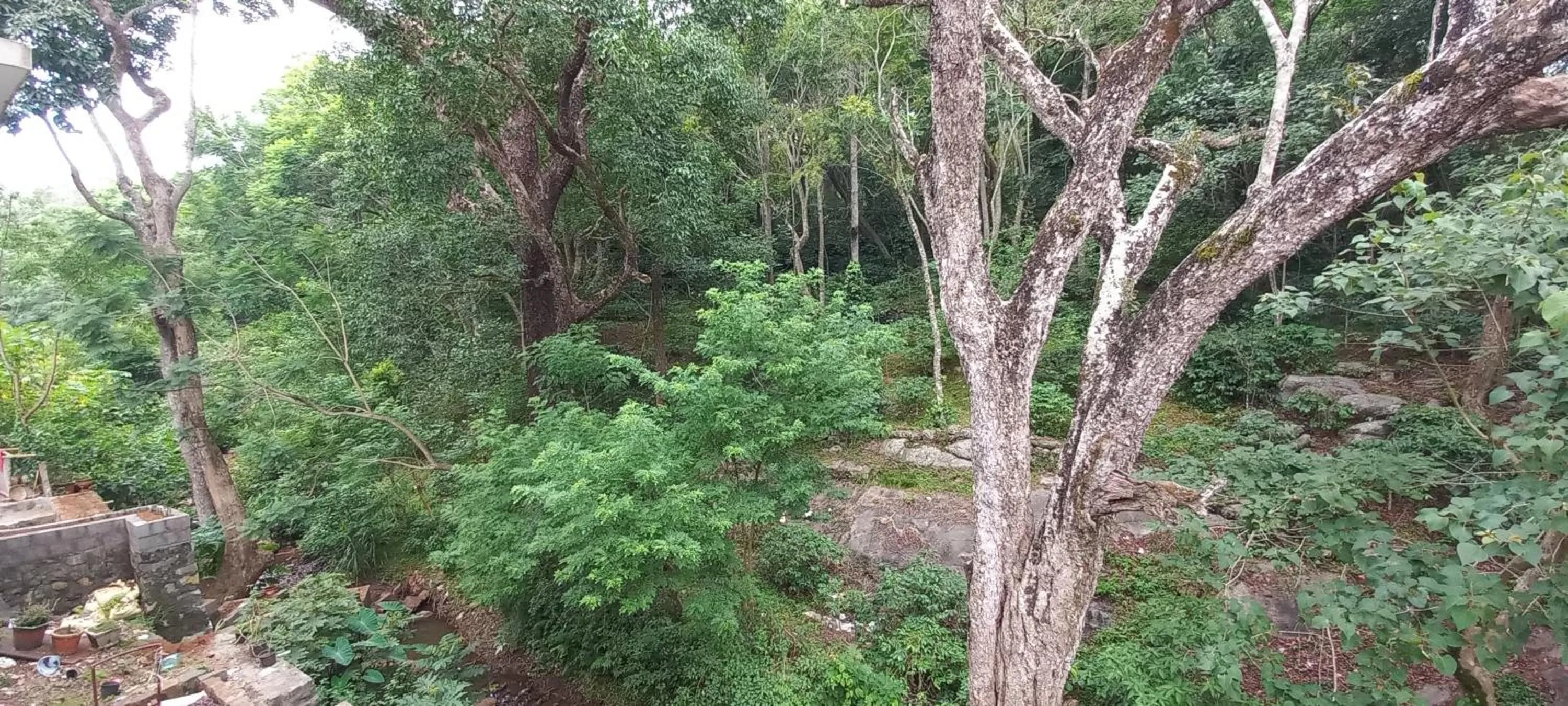 Natural landscape in iSTAYS - Loop Road, Yercaud