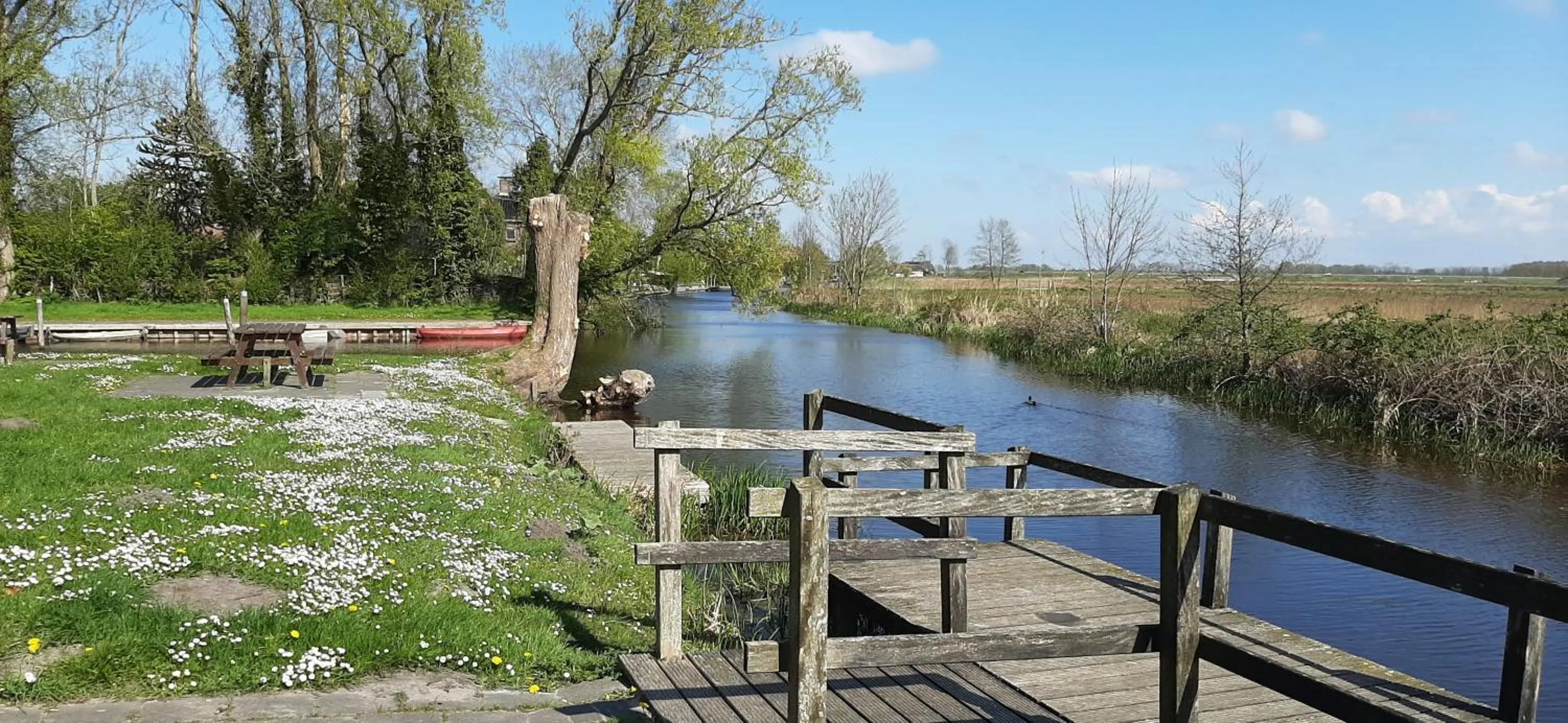 Natural landscape in 't Bûtefjild