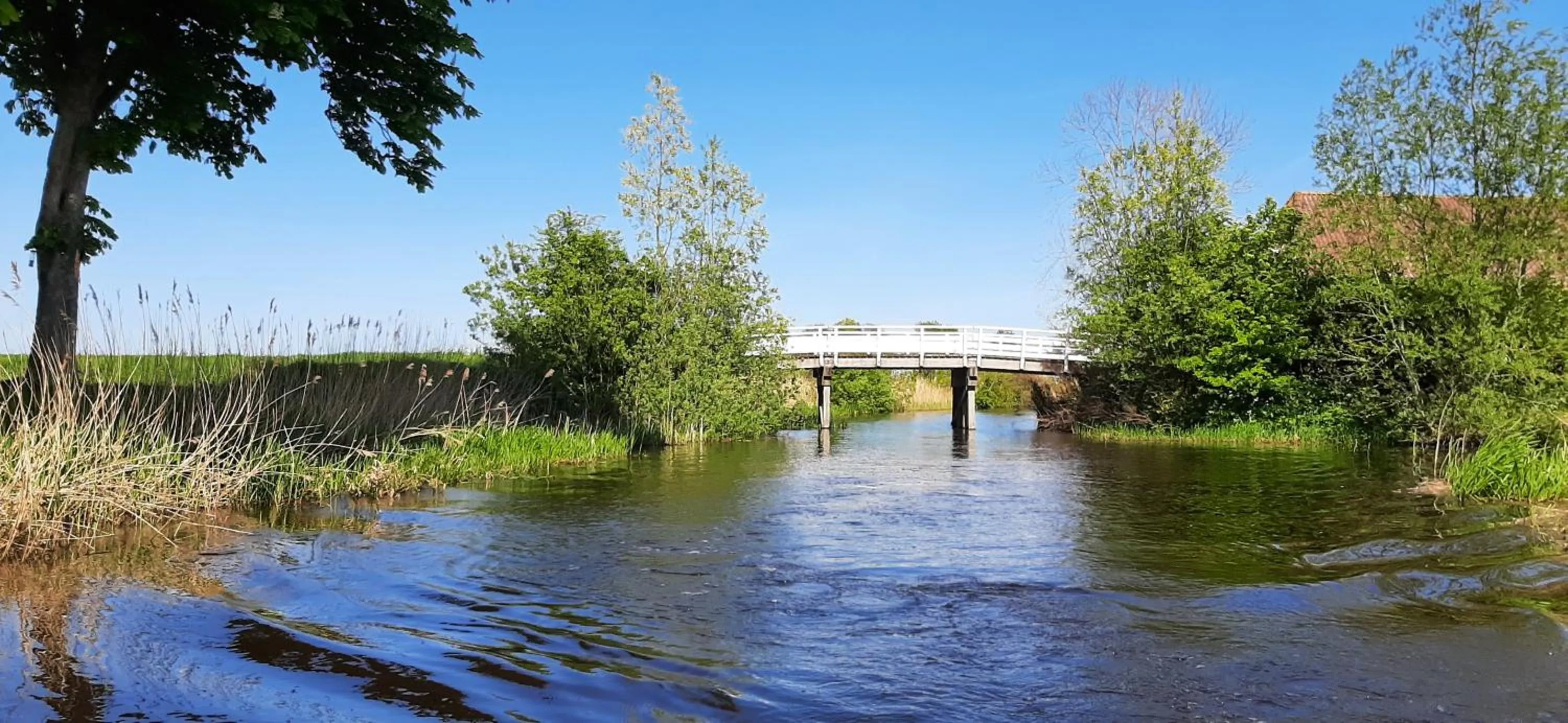 Natural landscape in 't Bûtefjild