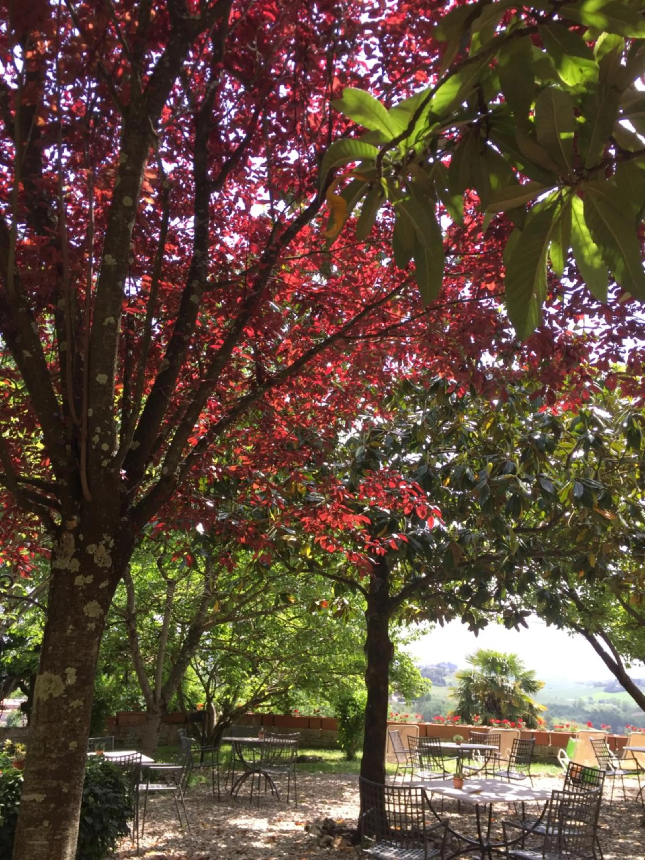 Natural landscape in Hotel Santa Caterina