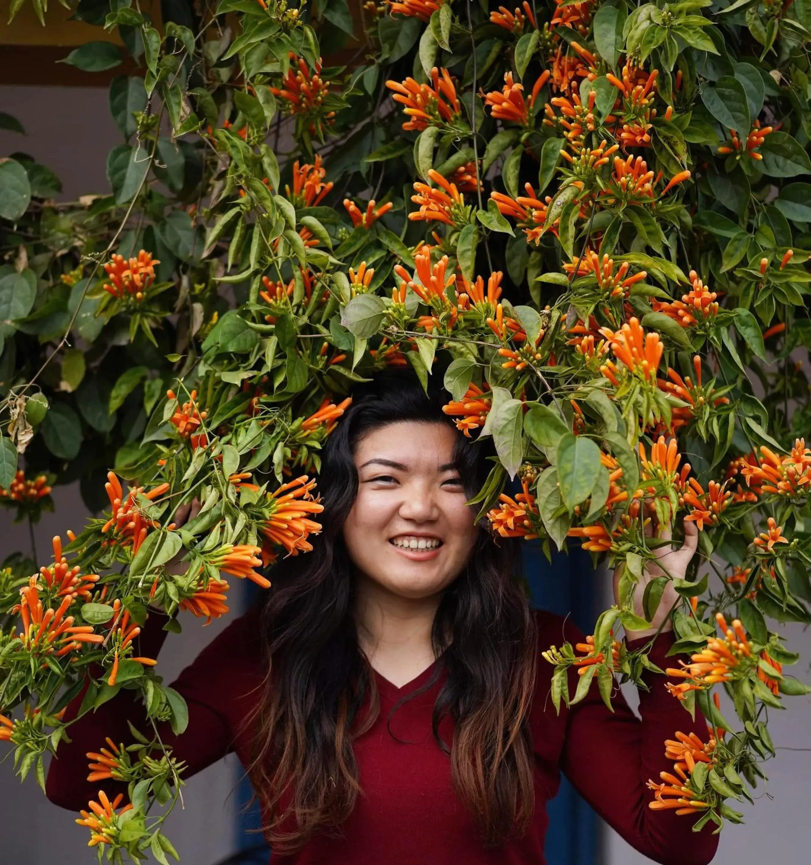 People in Hotel Mountain View - Lakeside Pokhara People in Hotel Mountain View - Lakeside Pokhara