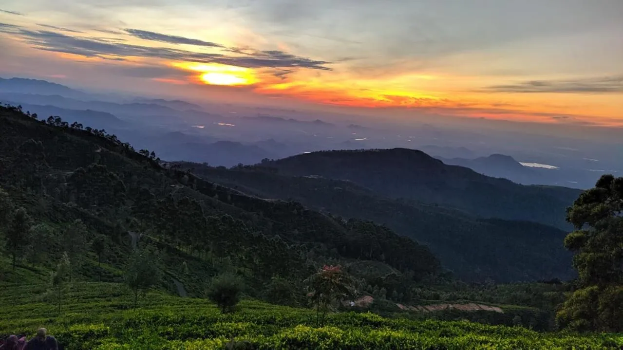 View (from property/room) in White Home