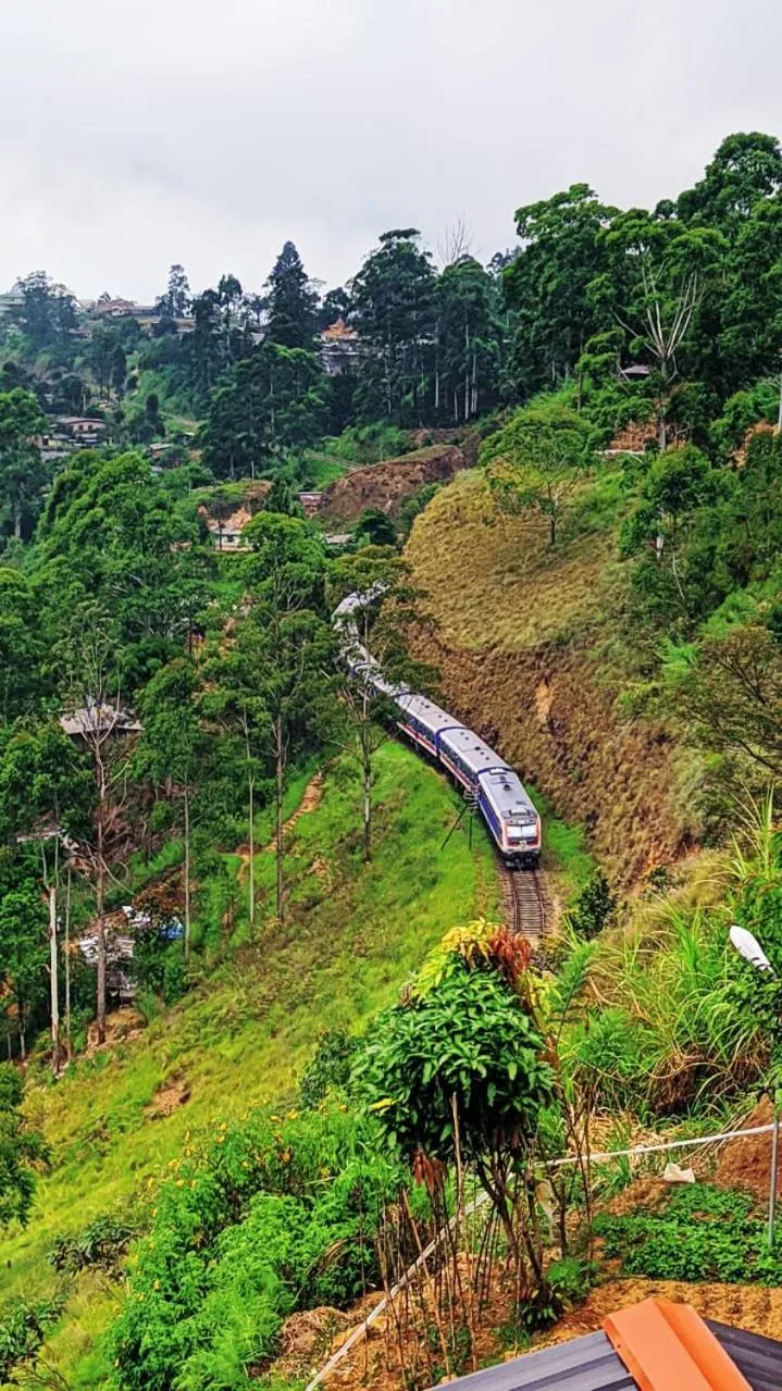 View (from property/room) in White Home