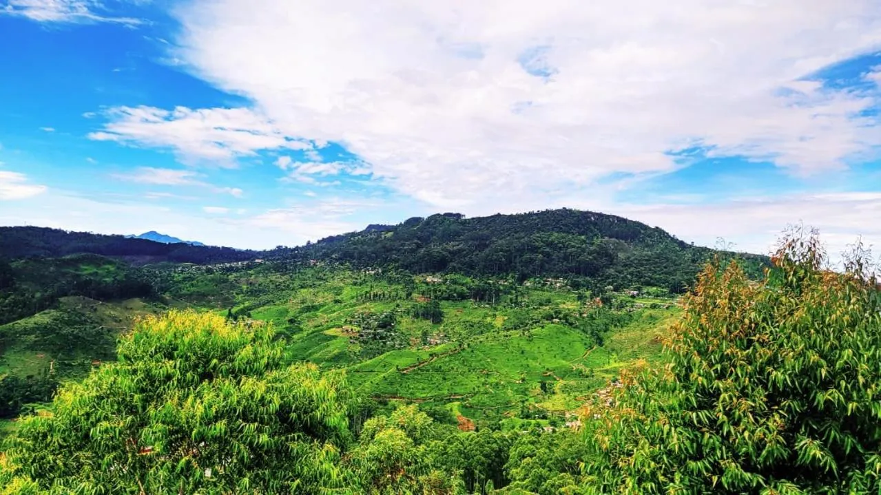 View (from property/room) in White Home