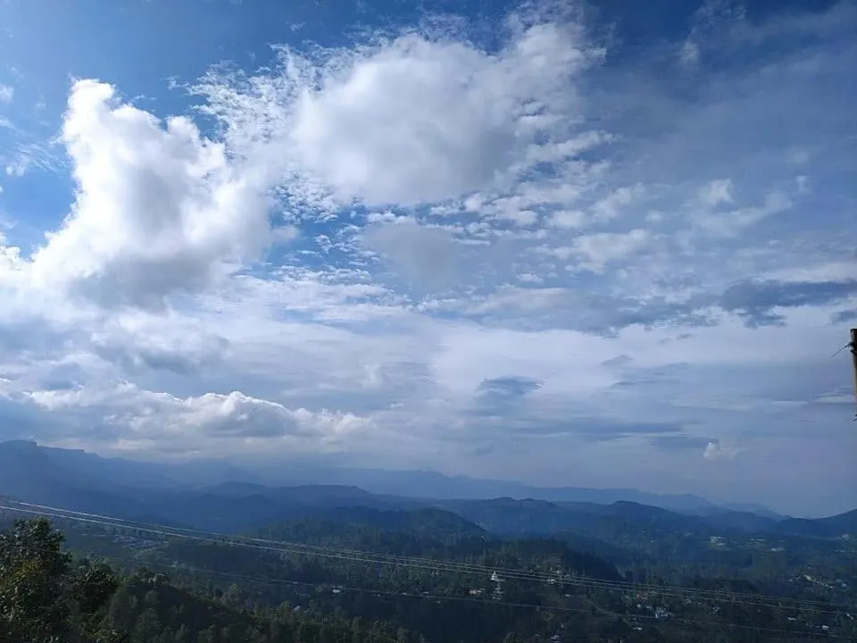 View (from property/room) in White Home