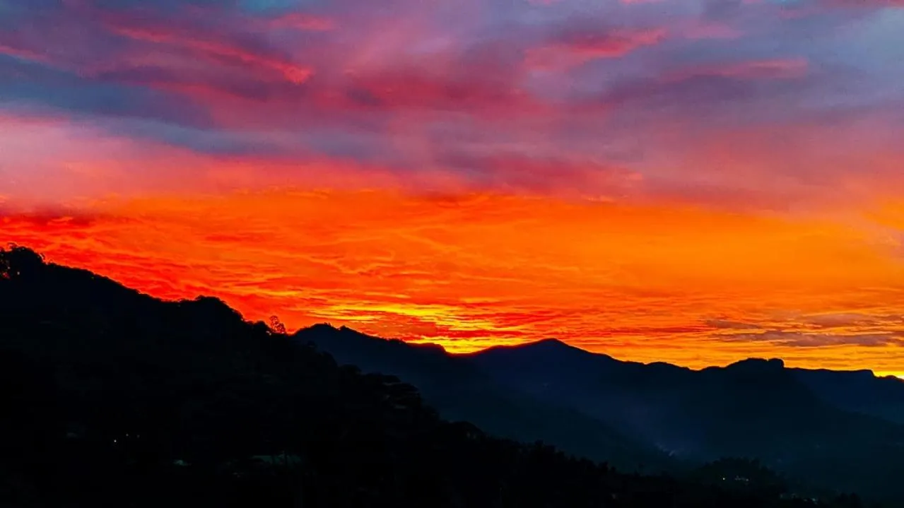 View (from property/room) in White Home