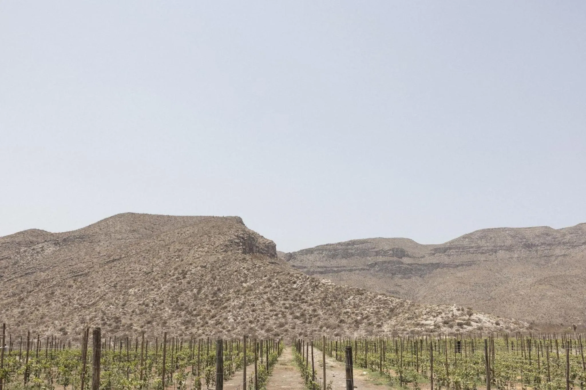 Natural landscape in Tierra Maria