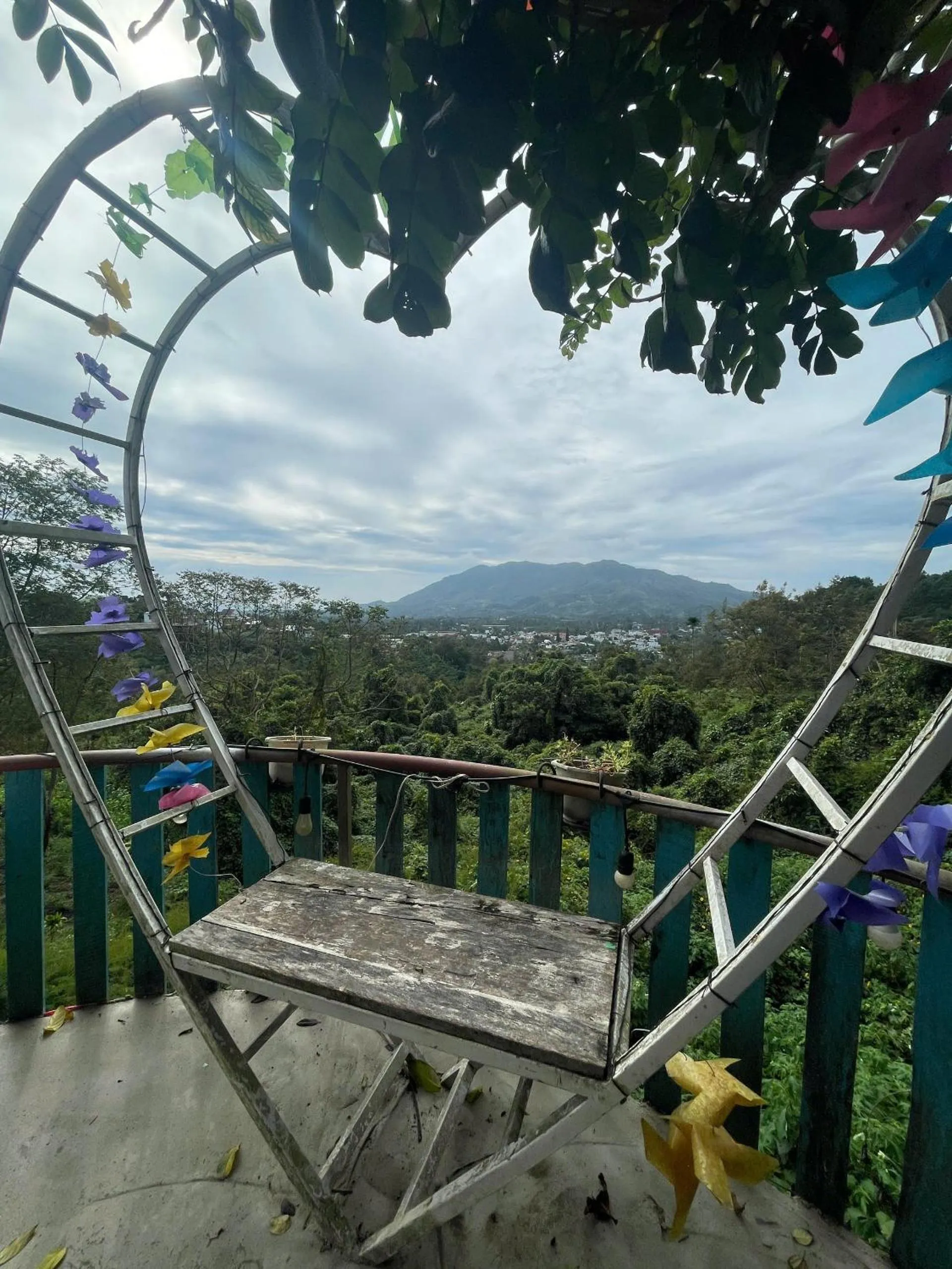 Natural landscape in Lien Do Star Hotel