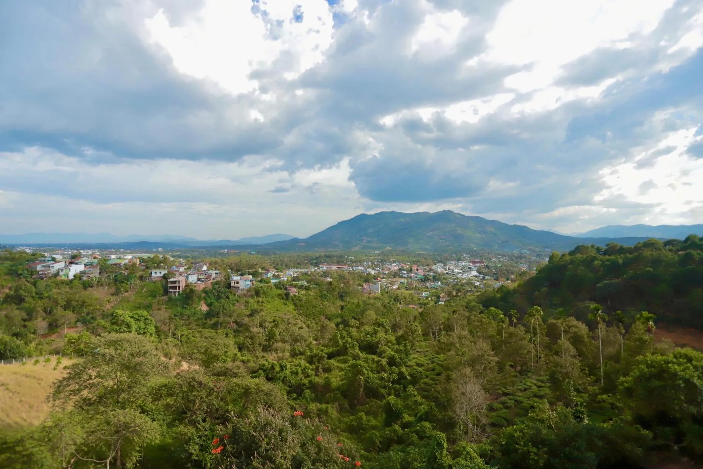 Natural landscape in Lien Do Star Hotel