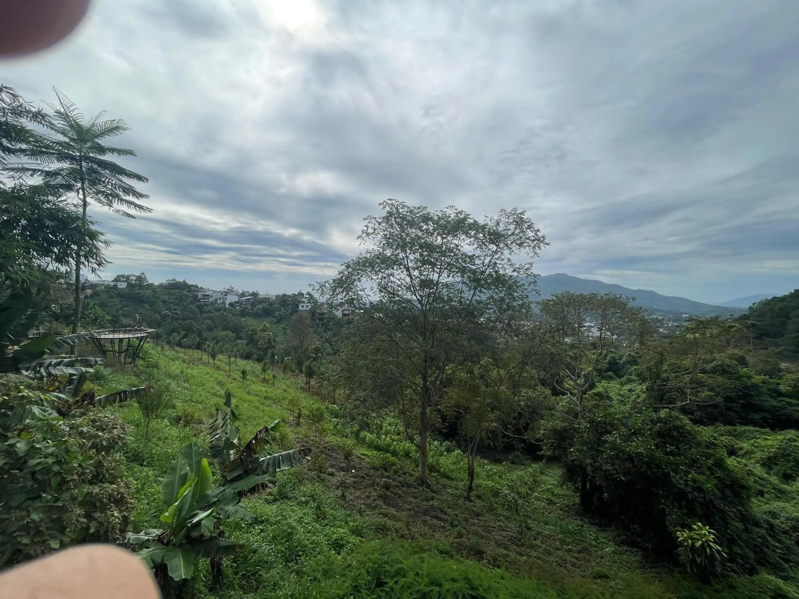 Natural landscape in Lien Do Star Hotel