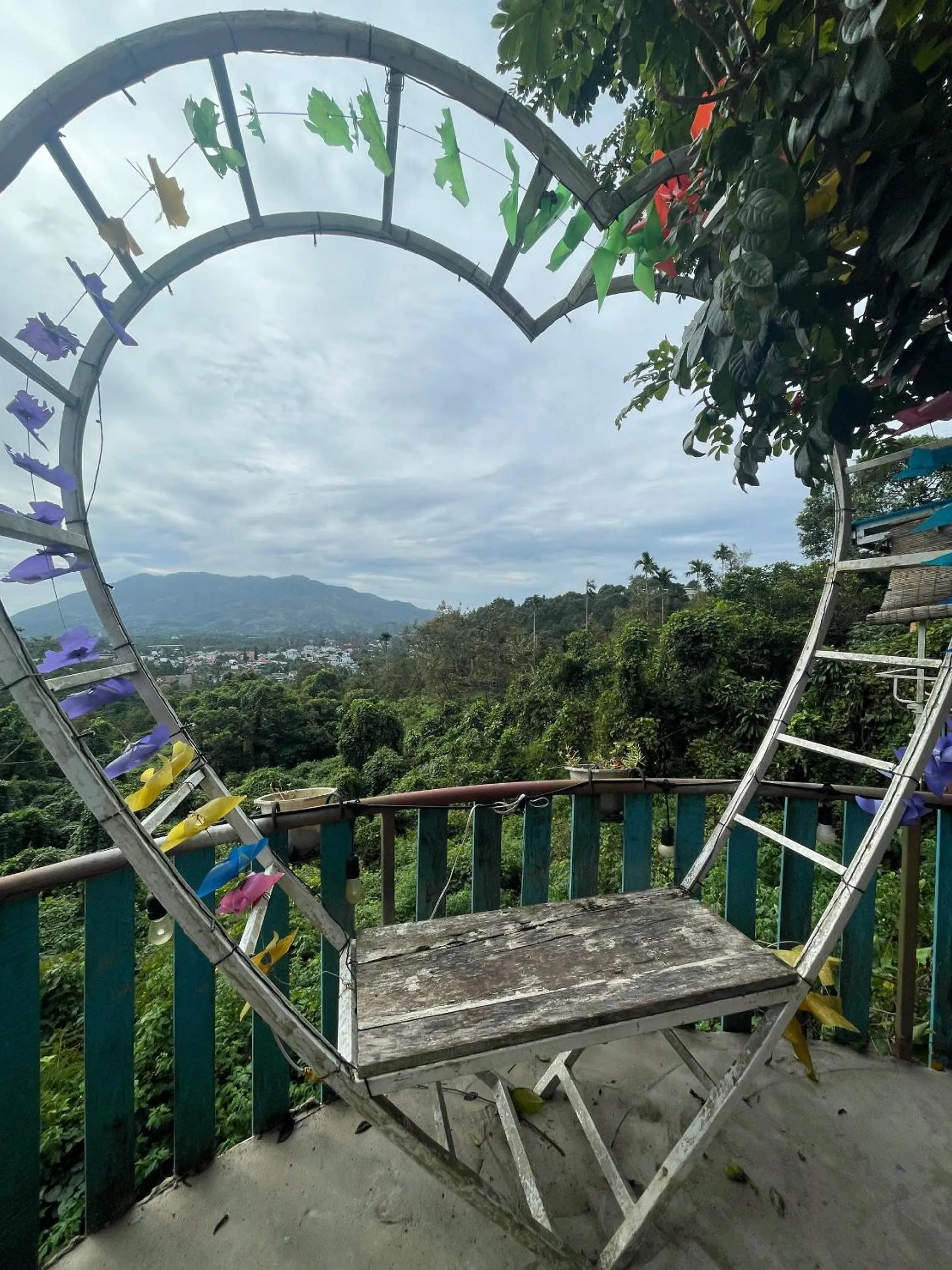 Natural landscape in Lien Do Star Hotel