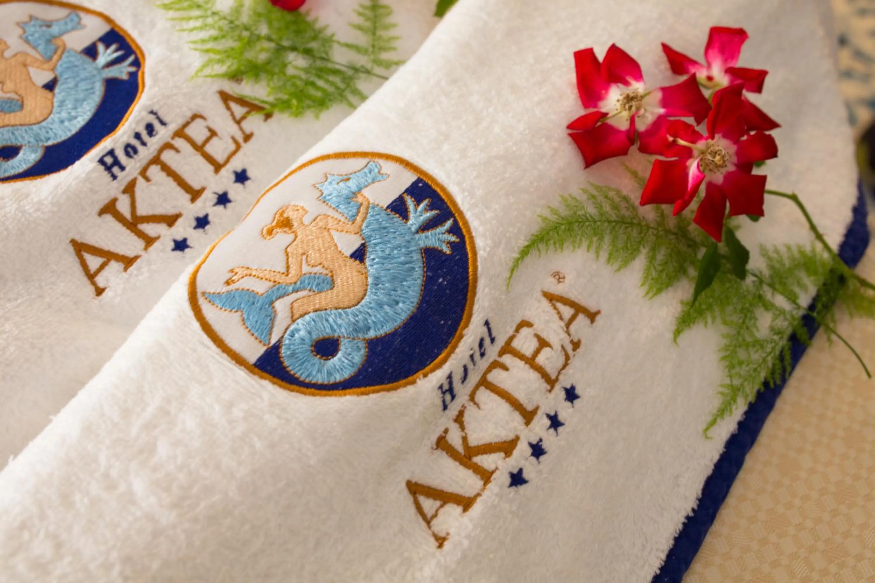 Swimming pool in Hotel Aktea