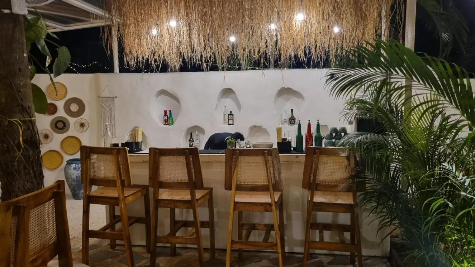 Restaurant/places to eat in Jungle by sturmfrei Palolem Restaurant/places to eat in Jungle by sturmfrei Palolem