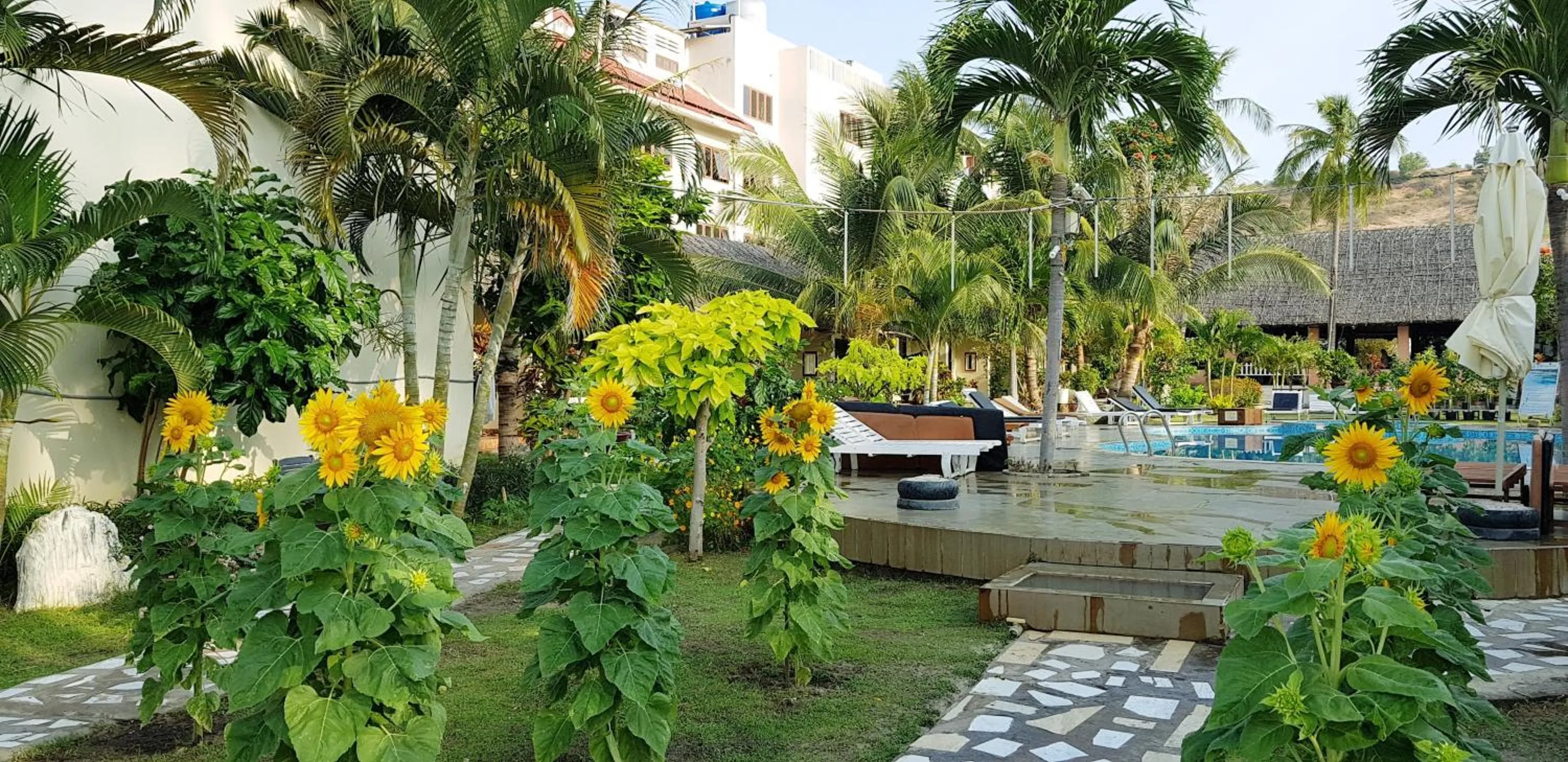 Patio in Sun & Sands Beach Hotel